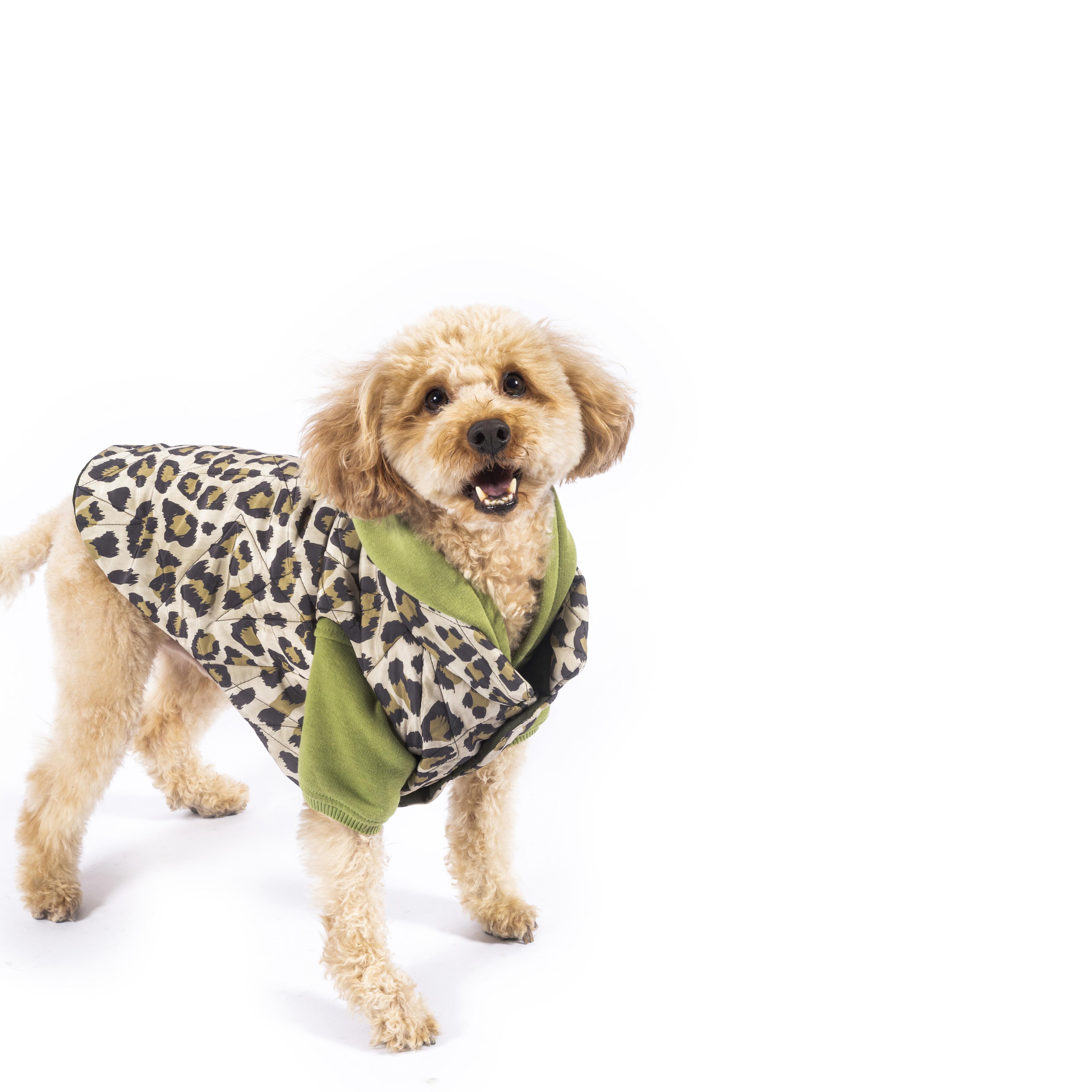 Nomad Leopard Quilted Dog Vest 