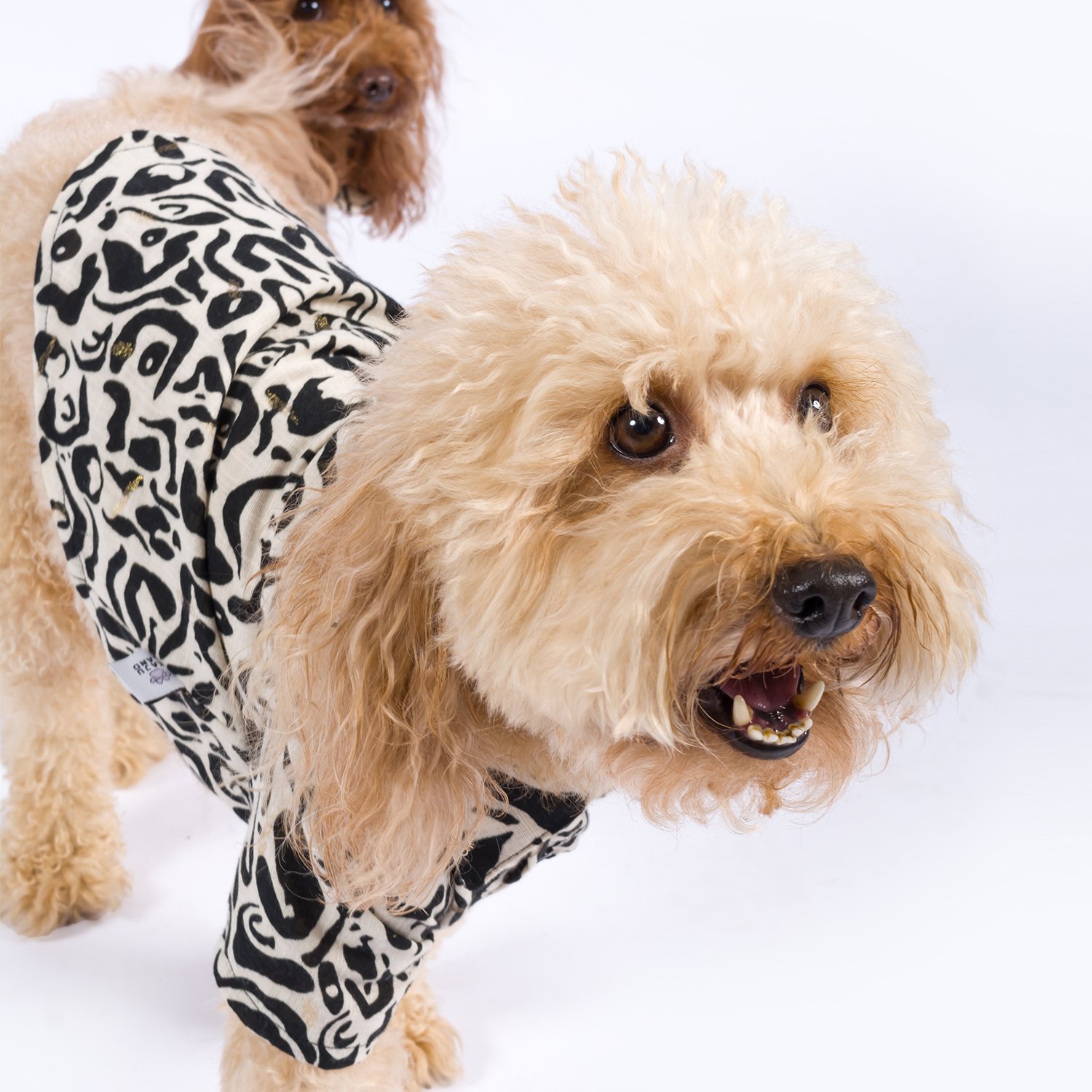 Equidae | Patterned Linen Dog Shirt