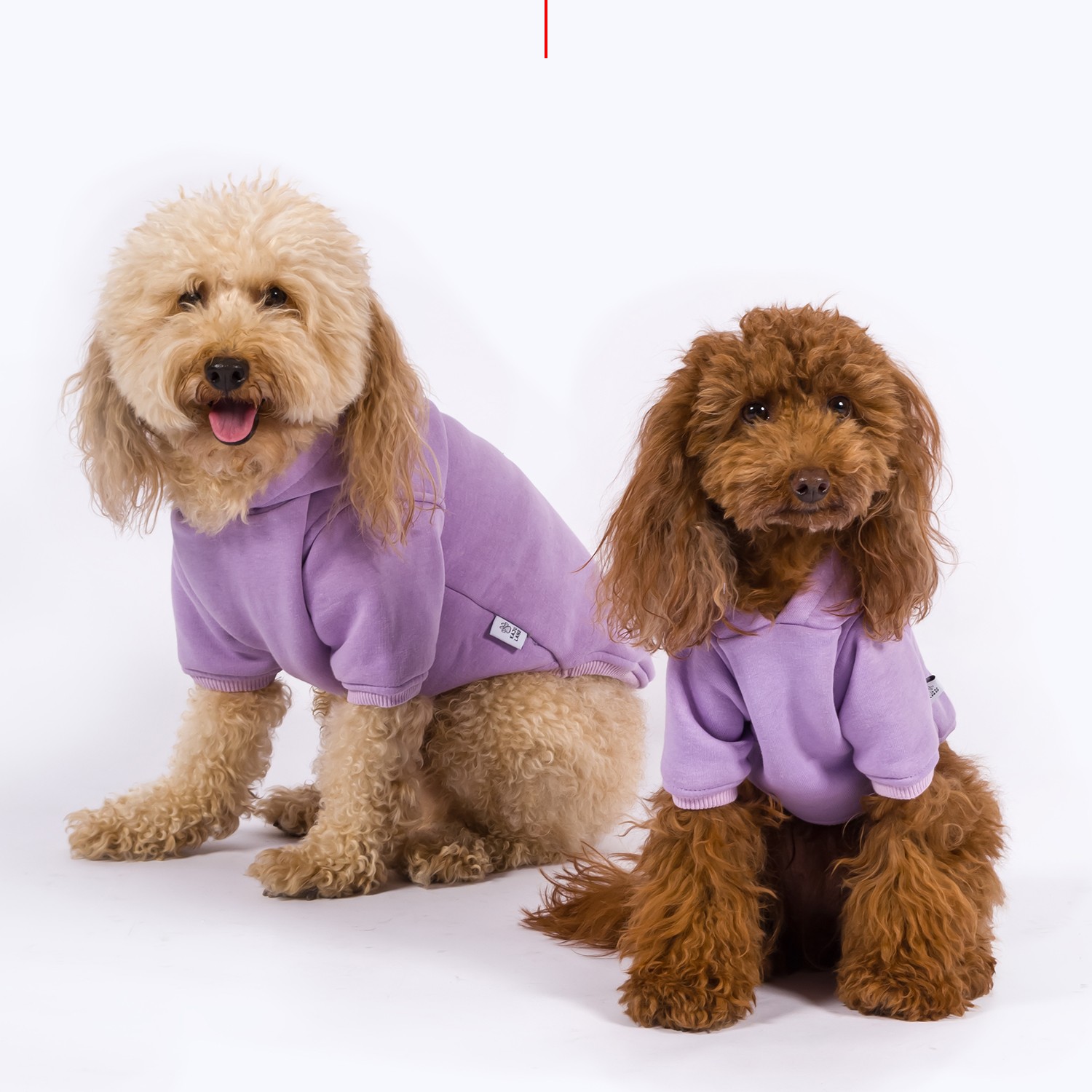 Maura | Dog Hoodie - Lilac