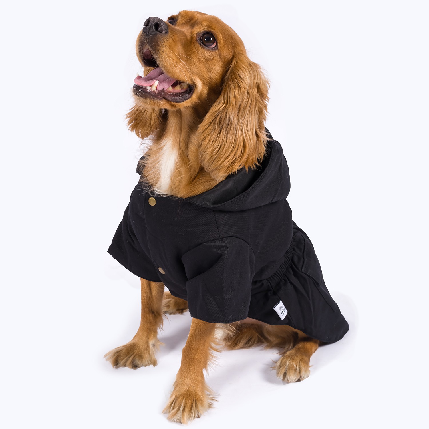 Got Style! | Furry Hooded Dog Coat - Black