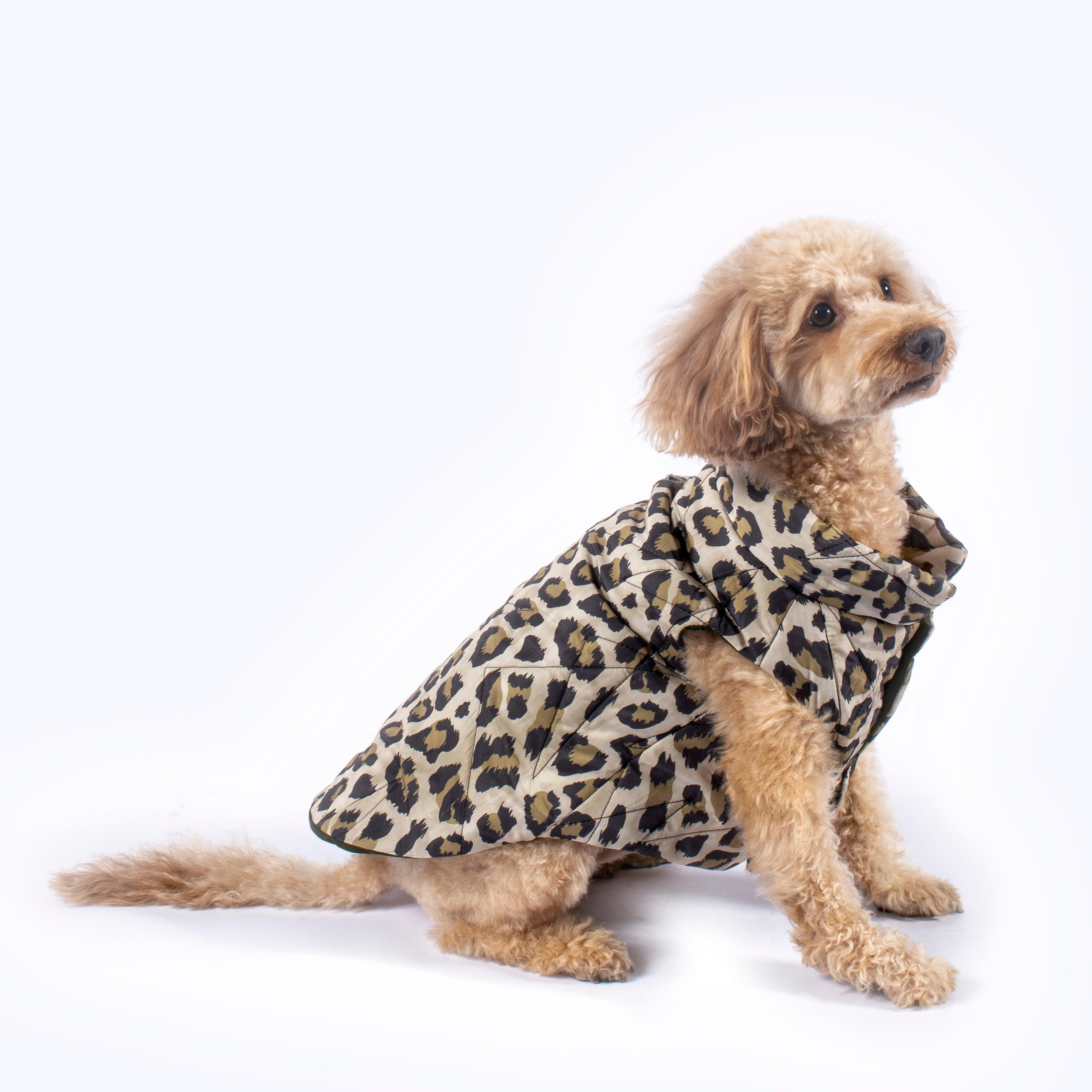 Nomad Leopard Quilted Dog Vest 