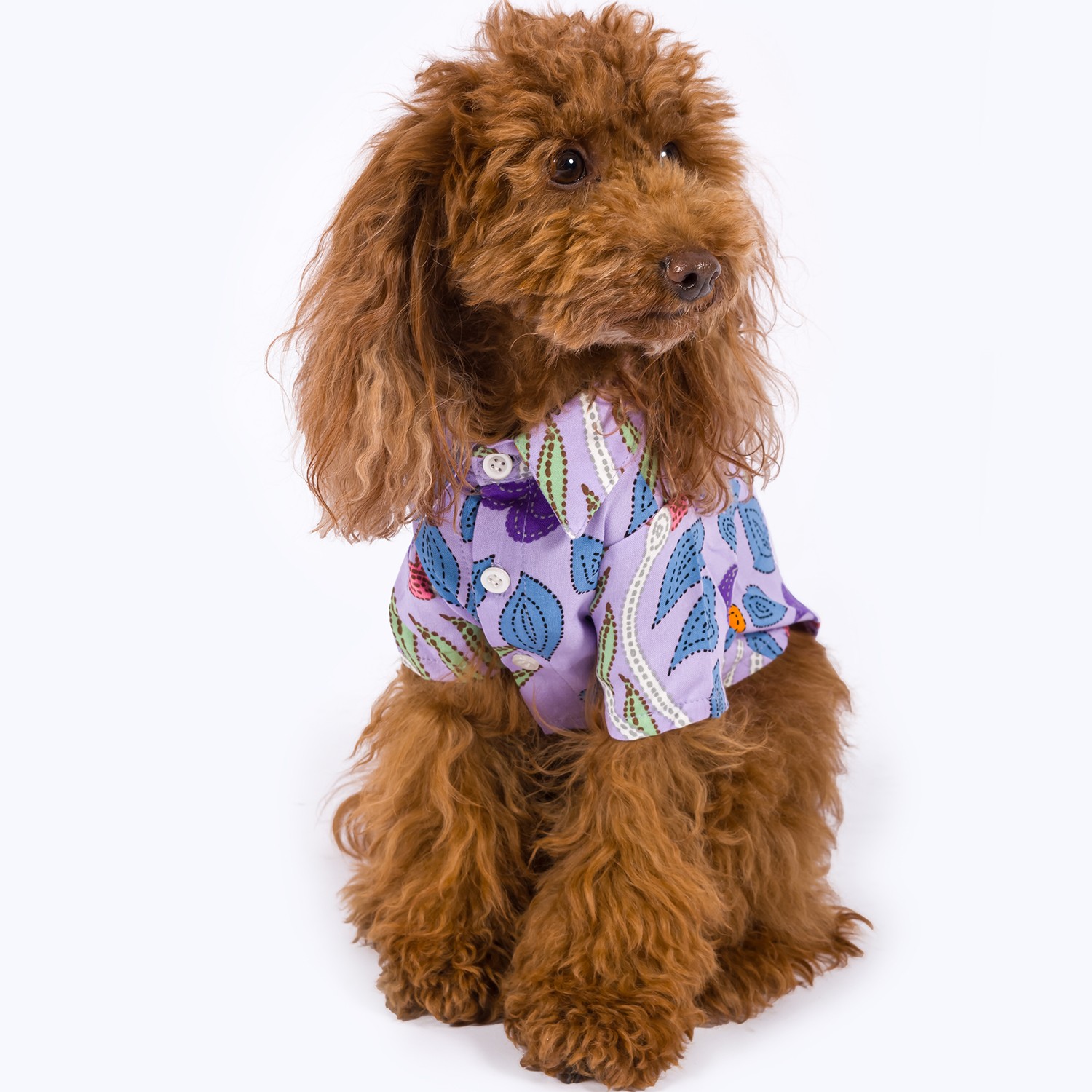 Viscose | Patterned Dog Shirt