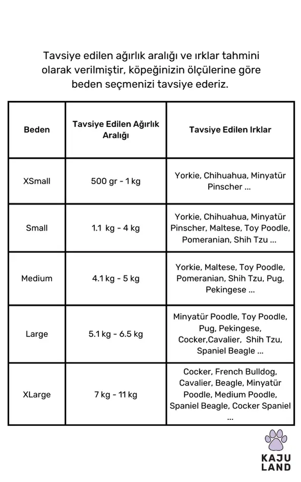 7.webp
