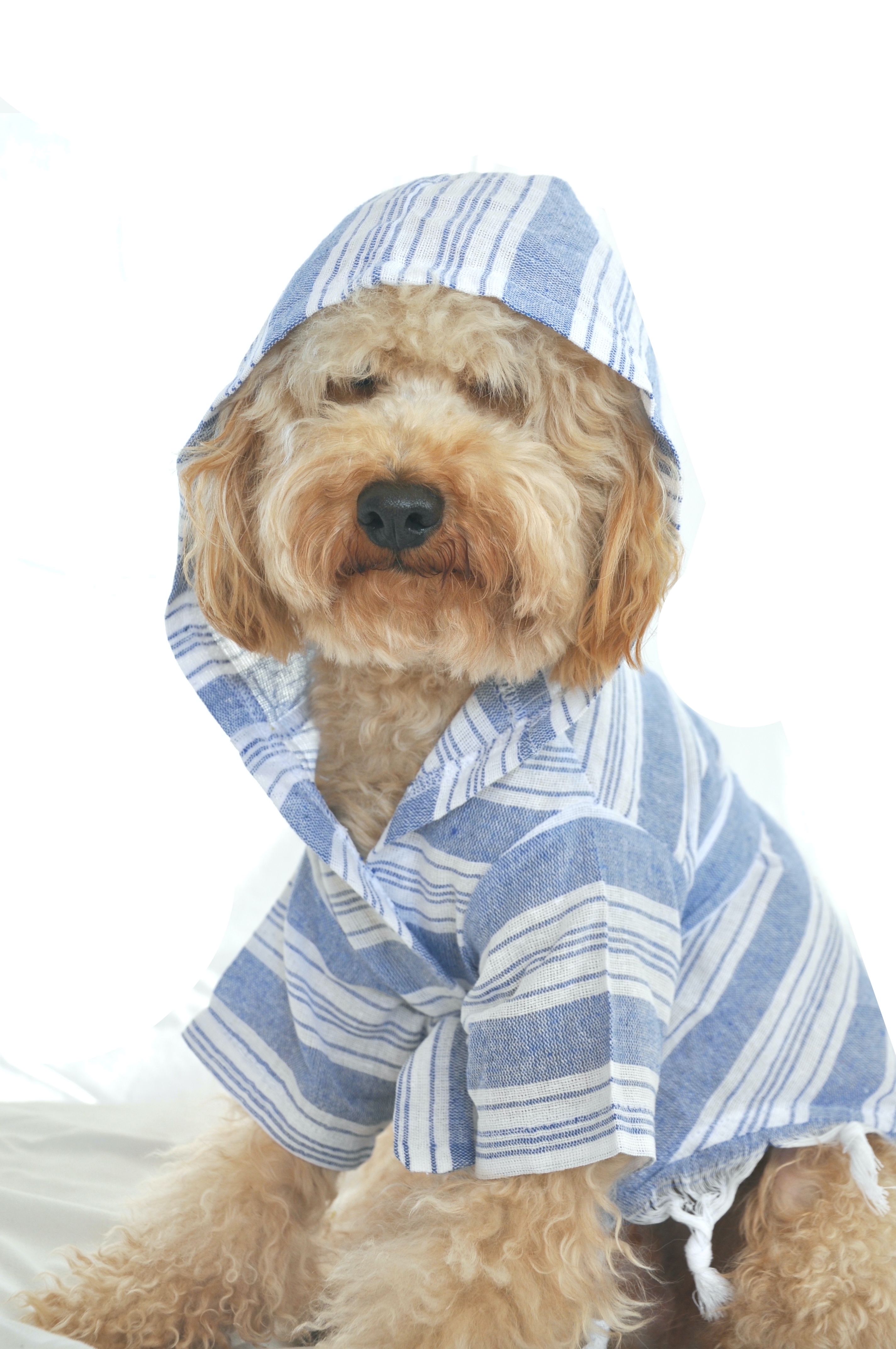 LINY | Striped Peshtemal Dog Bathrobe