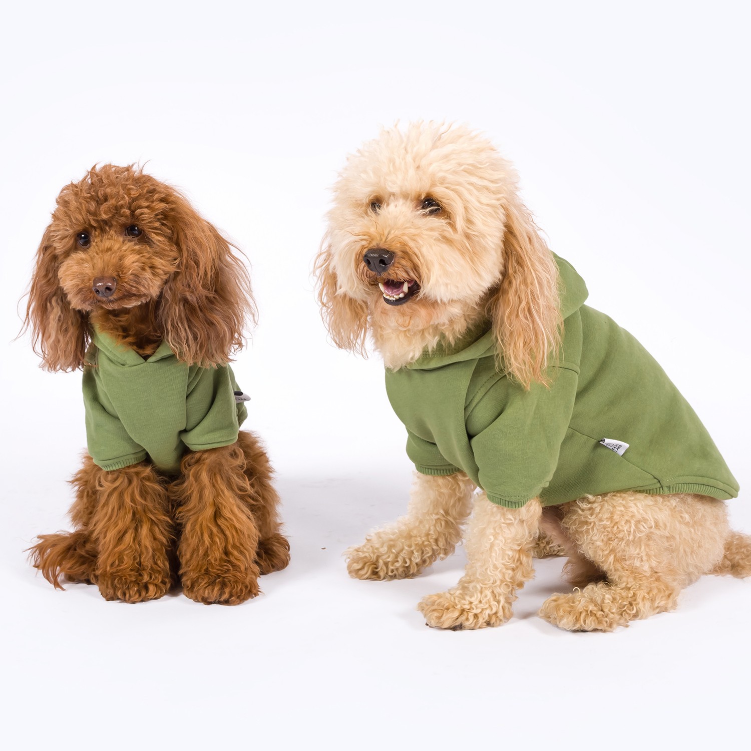 Maura | Dog Hoodie - Green