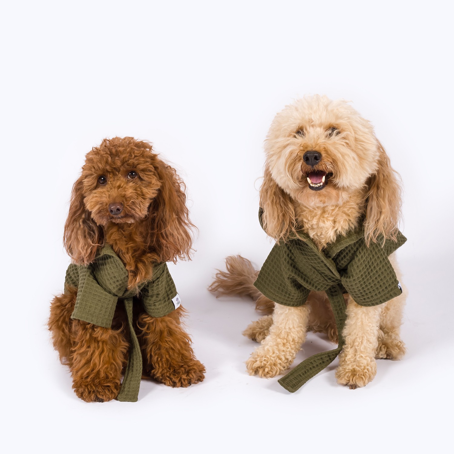 Pacific | Waffle-Textured Dog Bathrobe - Green