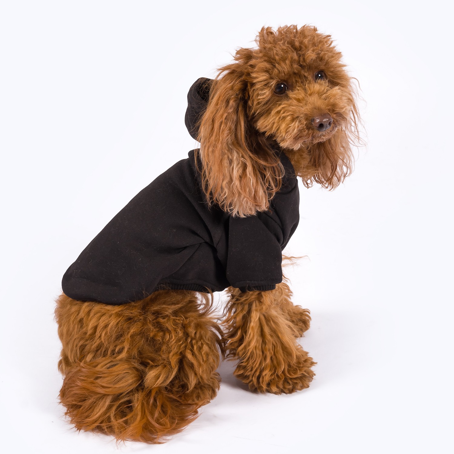 Maura | Dog Hoodie - Black