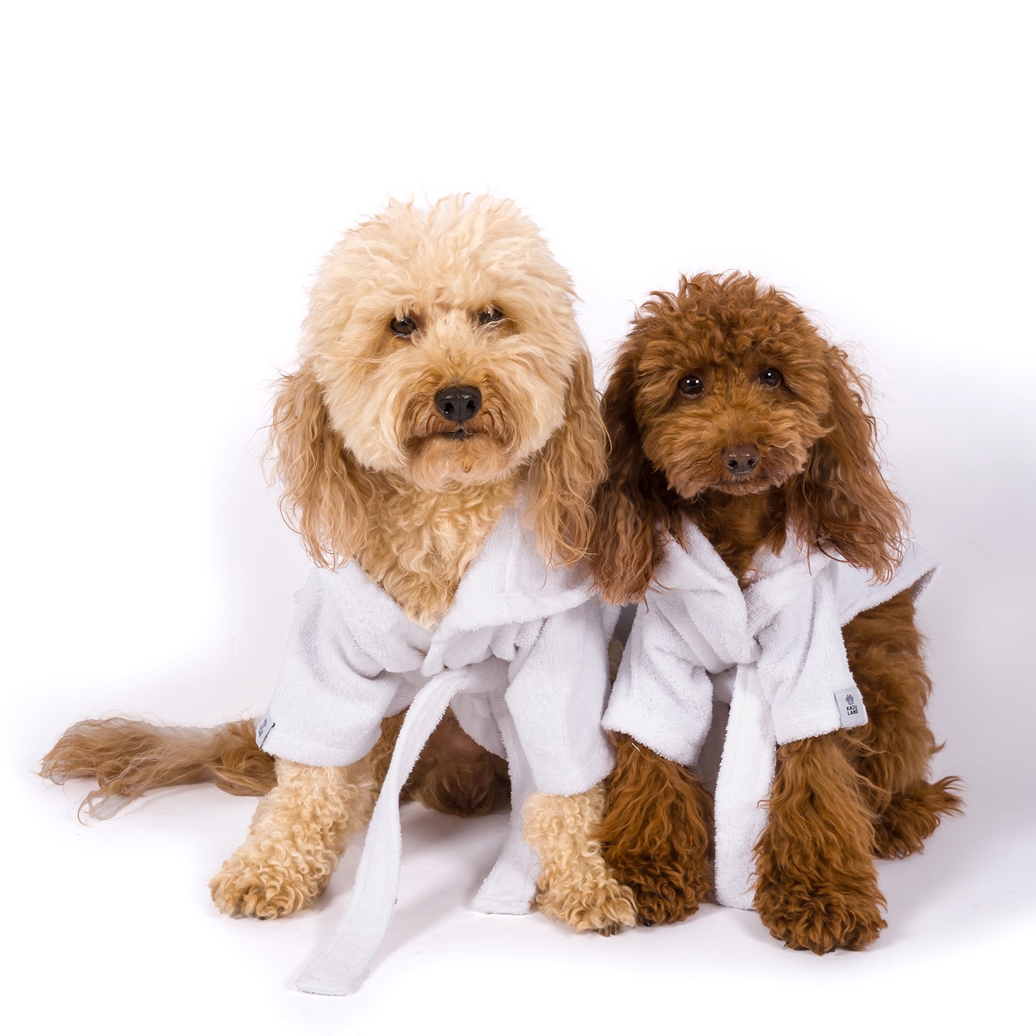 MAIA | 100% Cotton Dog Bathrobe