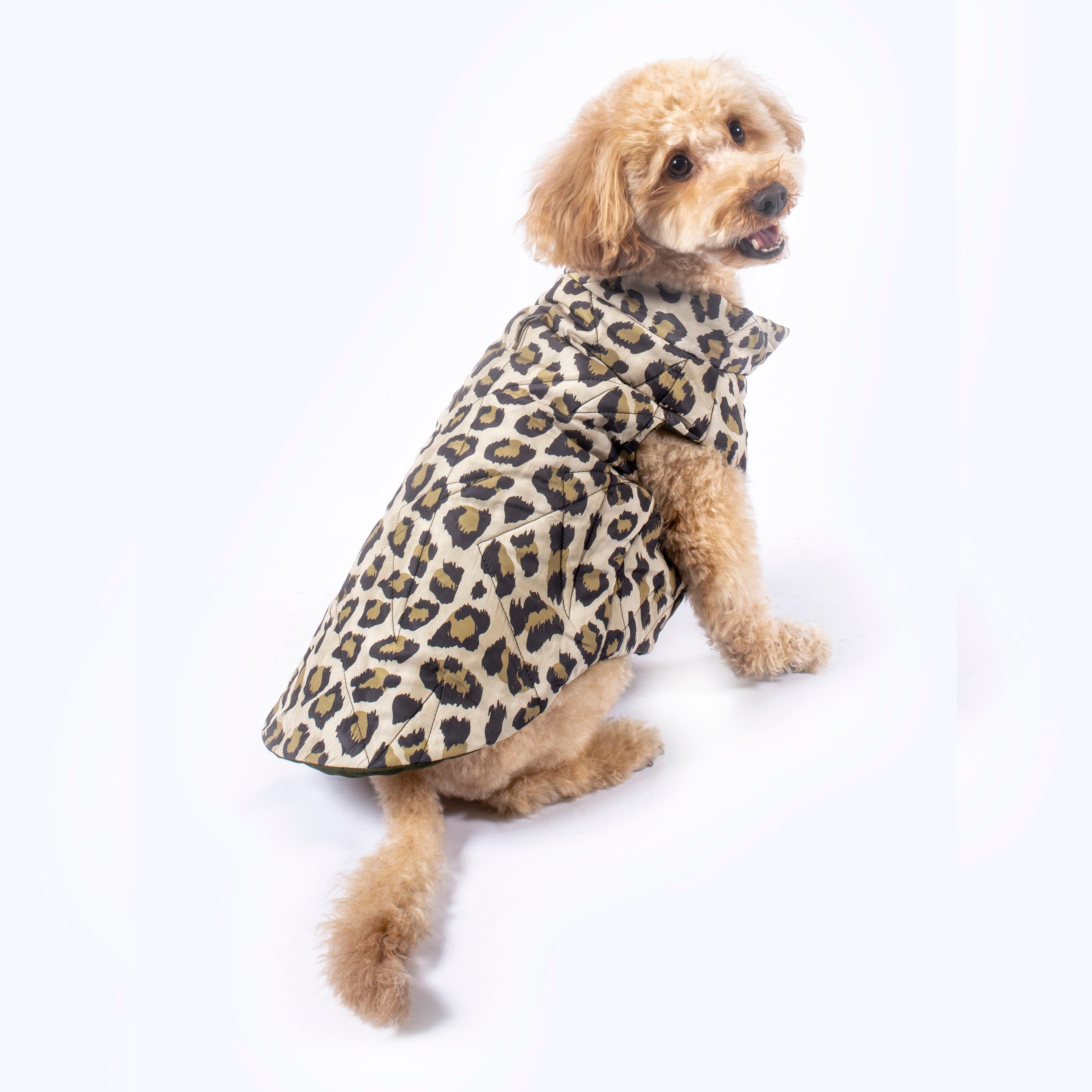 Nomad Leopard Quilted Dog Vest 