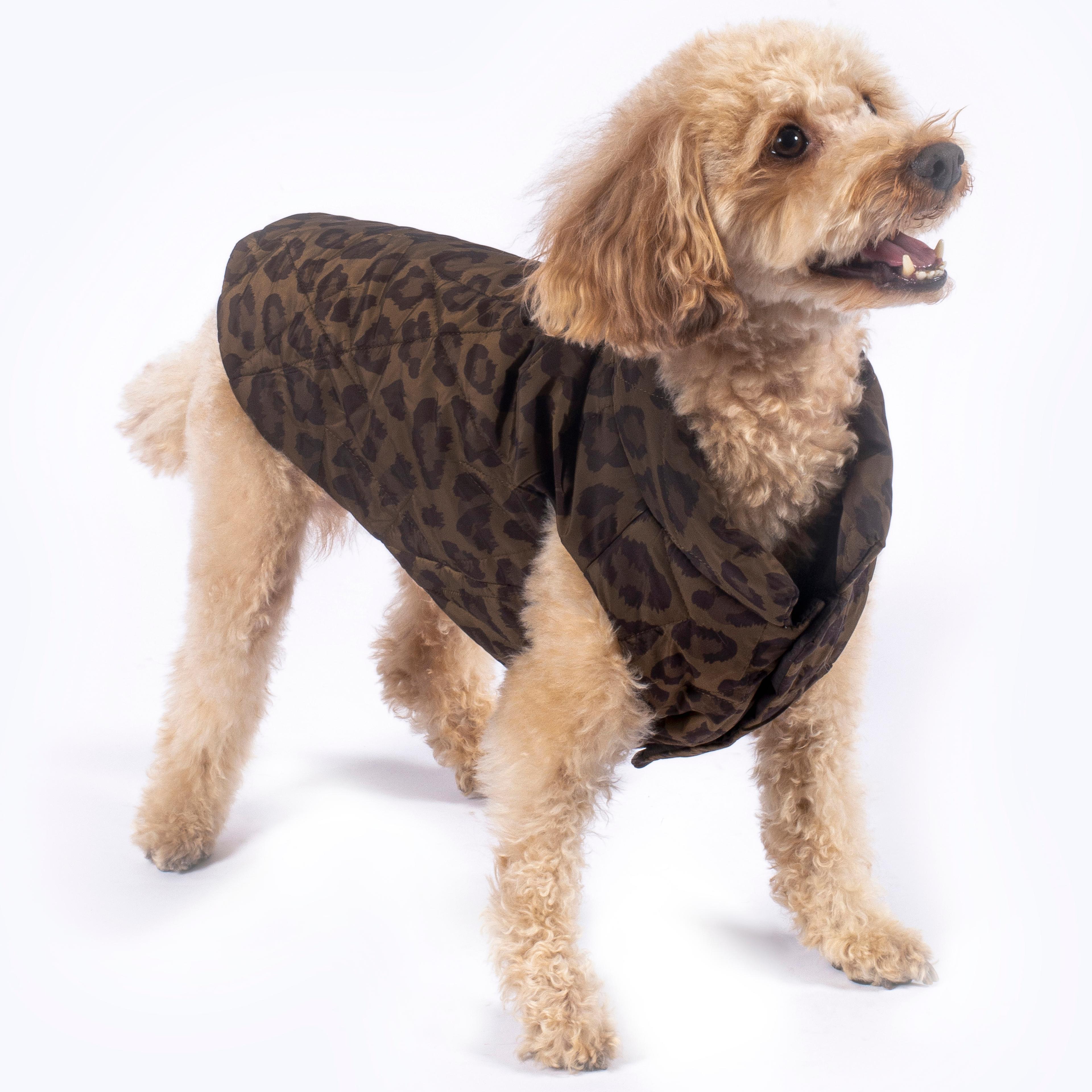 Nomad Leopard Quilted Dog Vest  - Brown