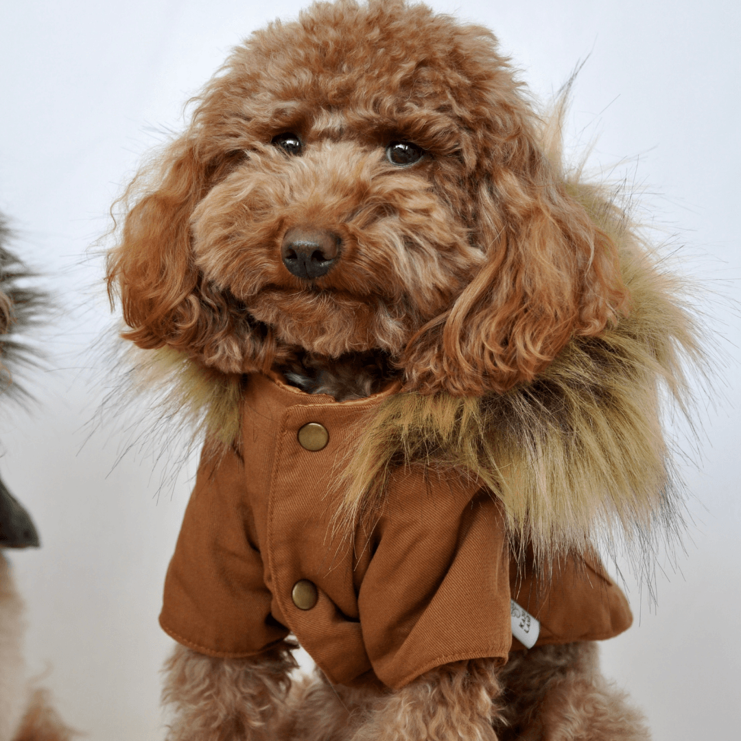 Got Style! | Kürklü Köpek Mont  - Camel