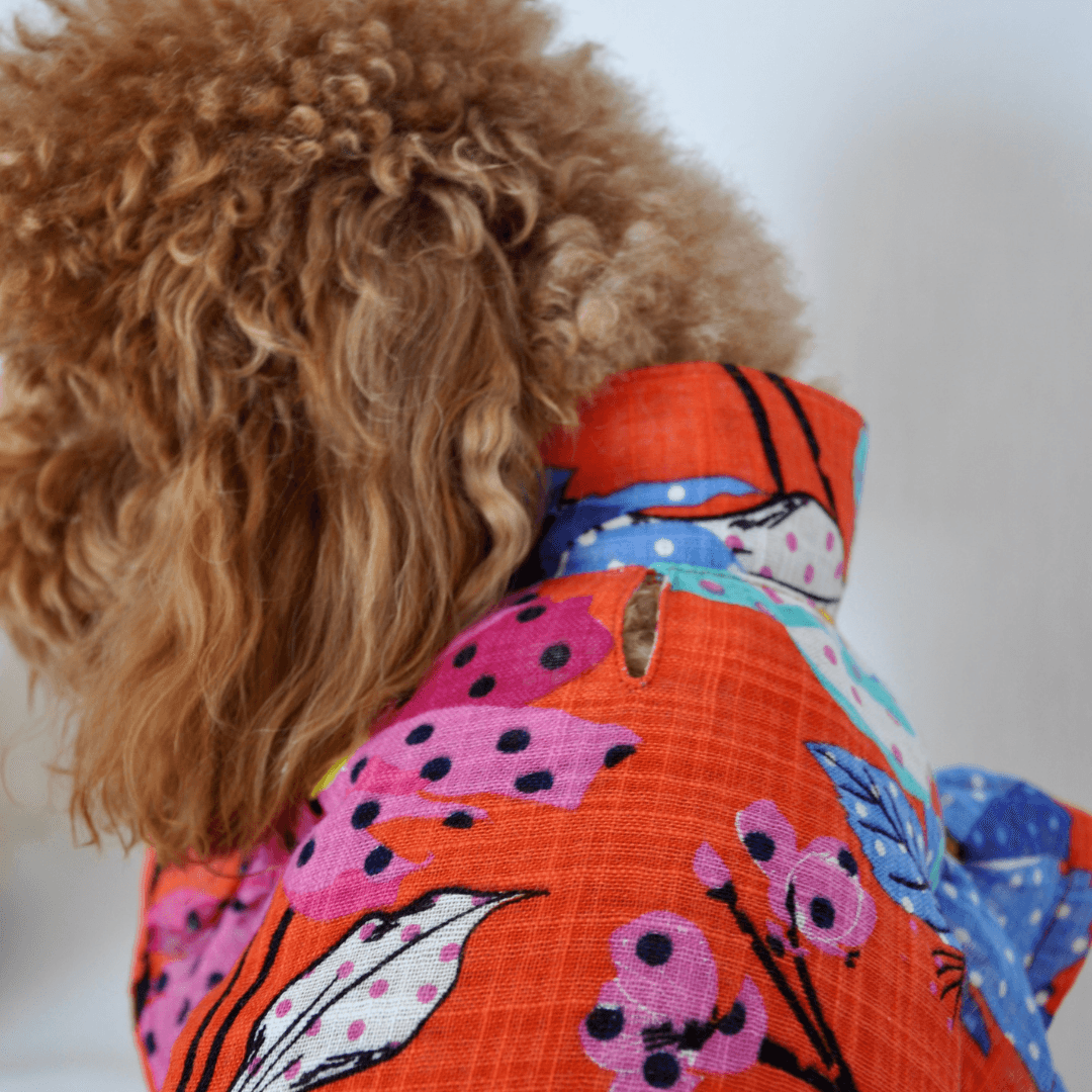 Blossom | Floral Dog Shirt - Limited Edition