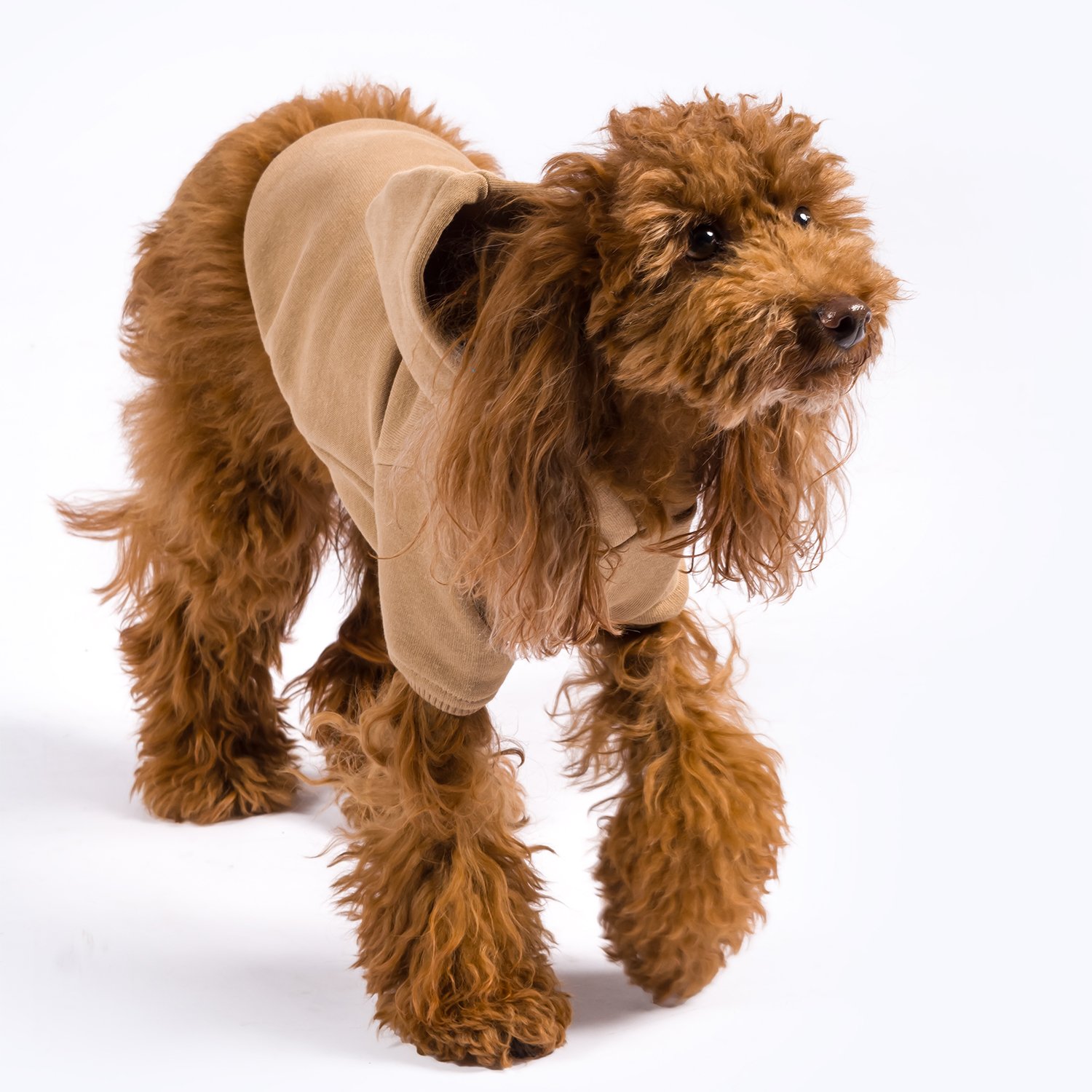 Maura | Dog Hoodie - Milky Brown