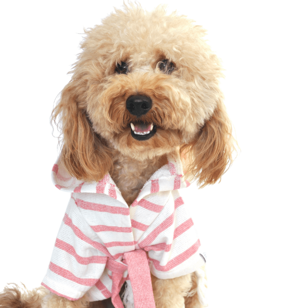 Mijo | Peshtemal Dog Bathrobe - Pink