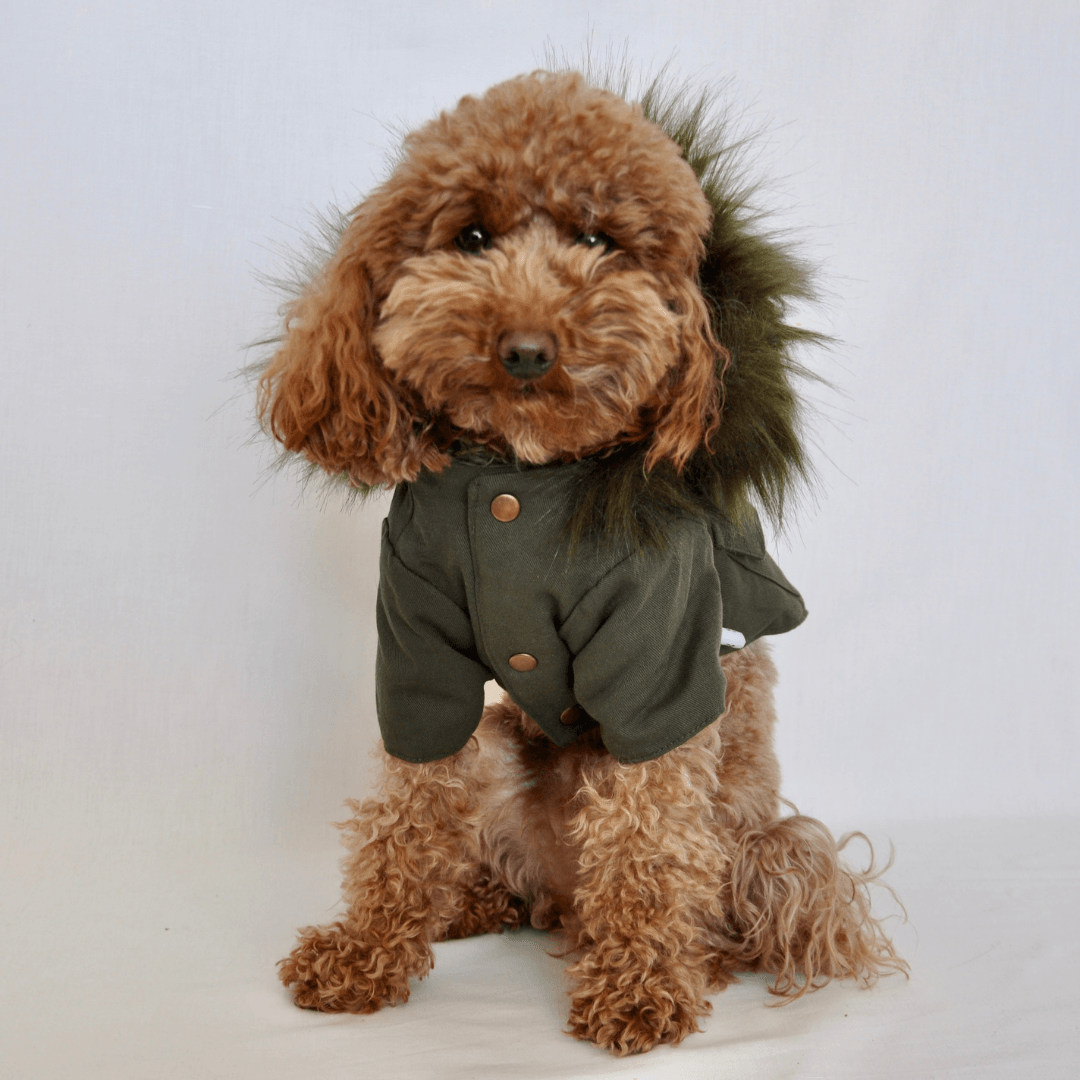 Got Style! | Furry Hooded Dog Coat - Khaki