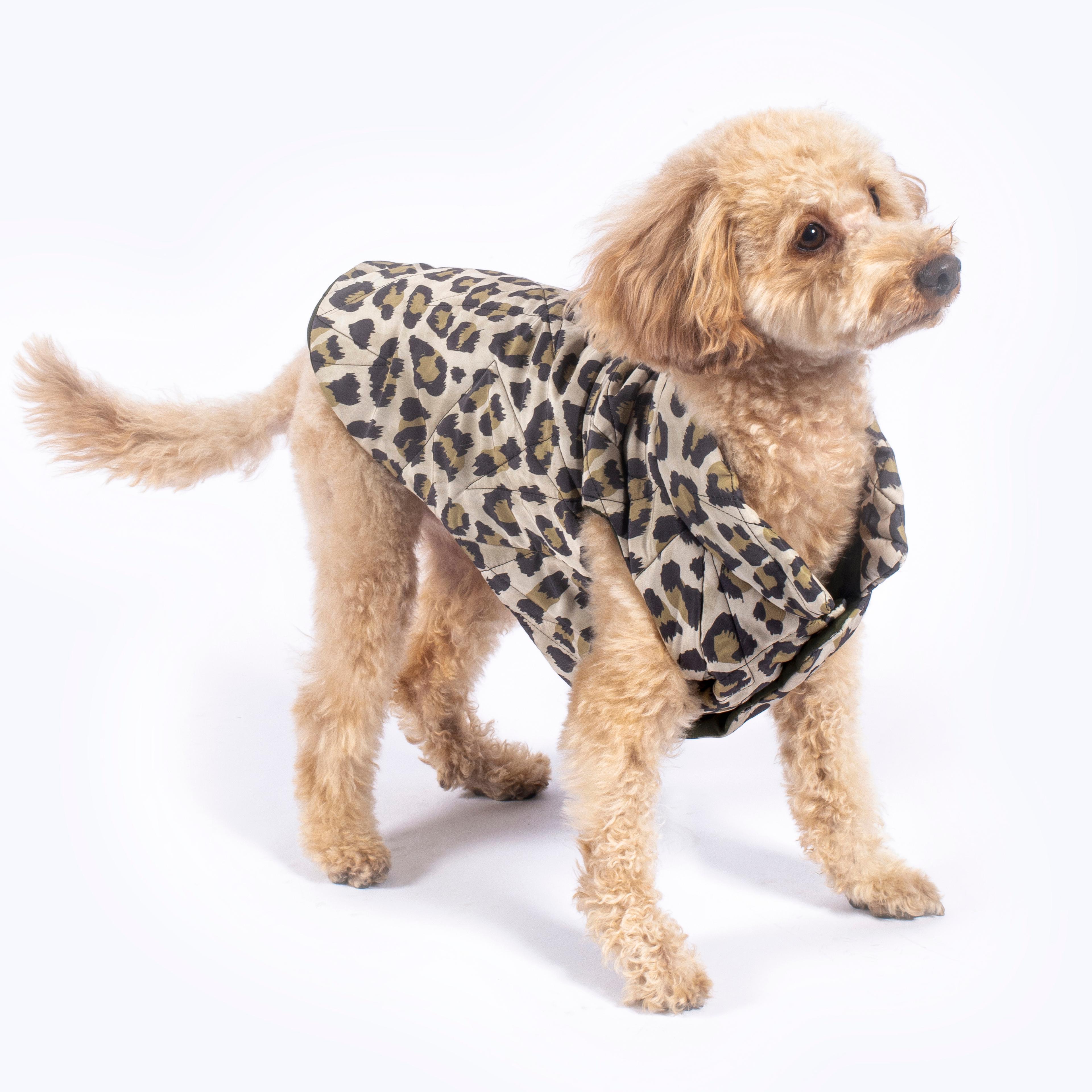 Nomad Leopard Quilted Dog Vest  - Green