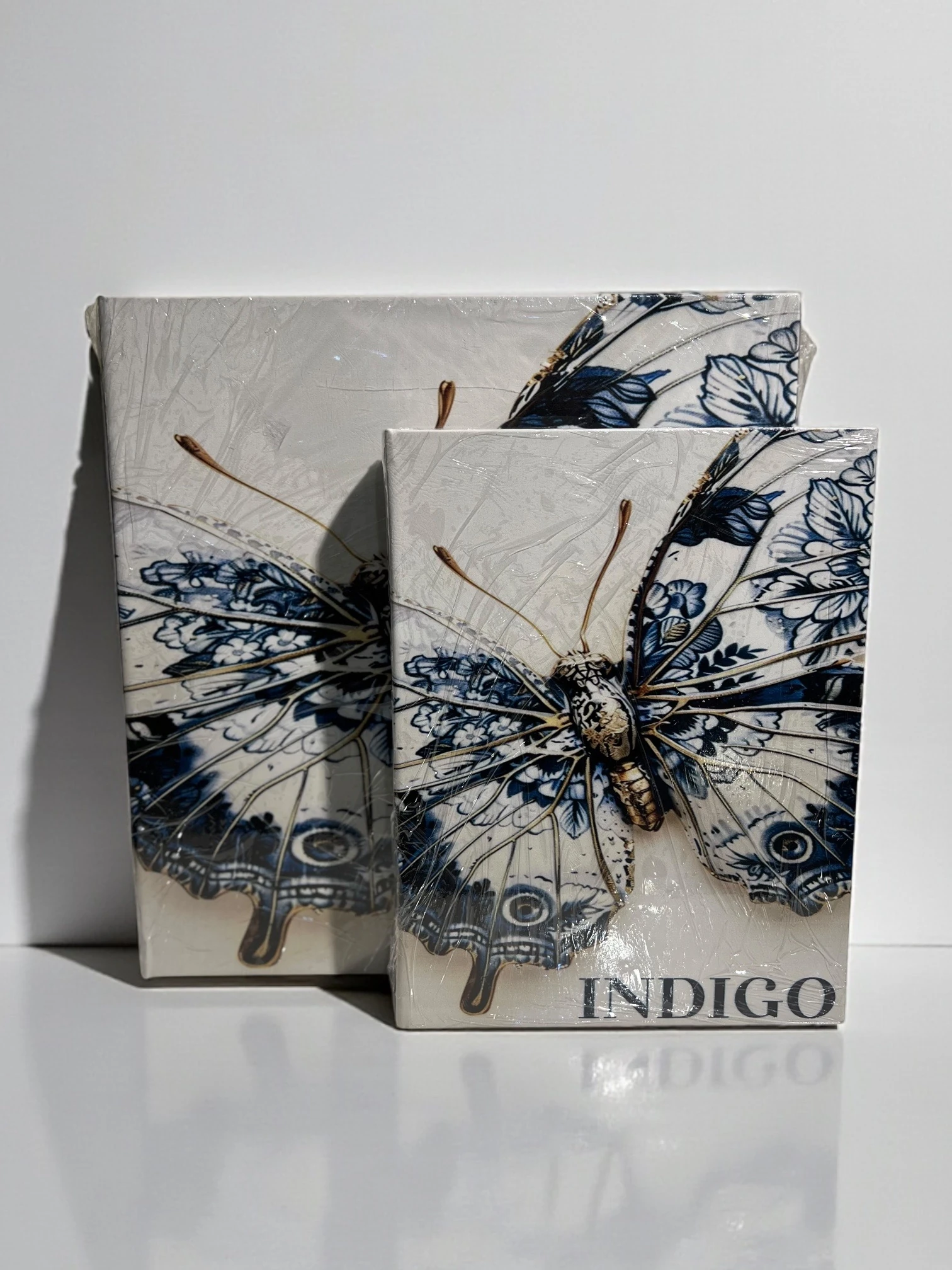 Dekoratif İkili İndigo Kitap Kutu