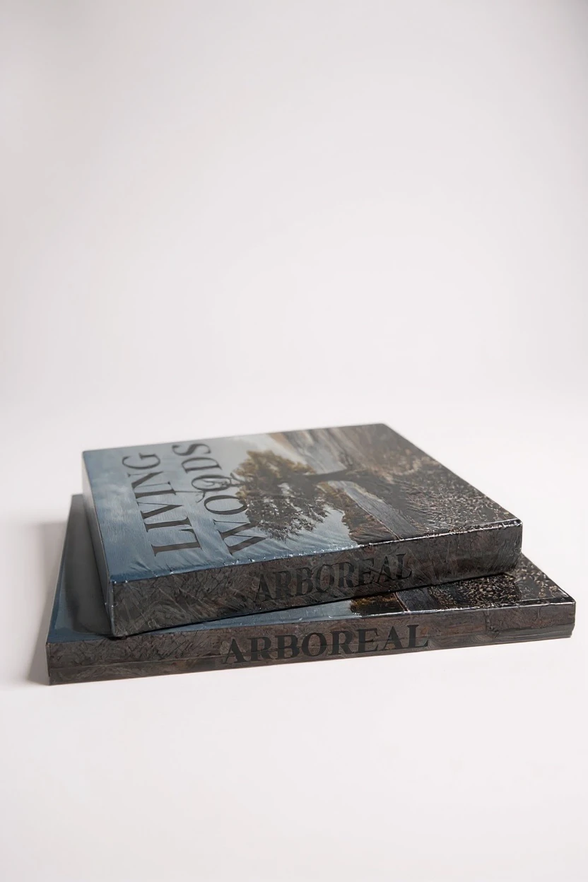 Dekoratif İkili Living Woods Kitap Kutu