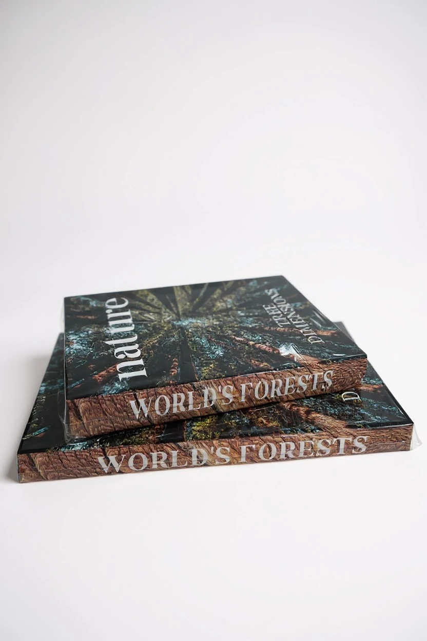 Dekoratif İkili Nature Kitap Kutu