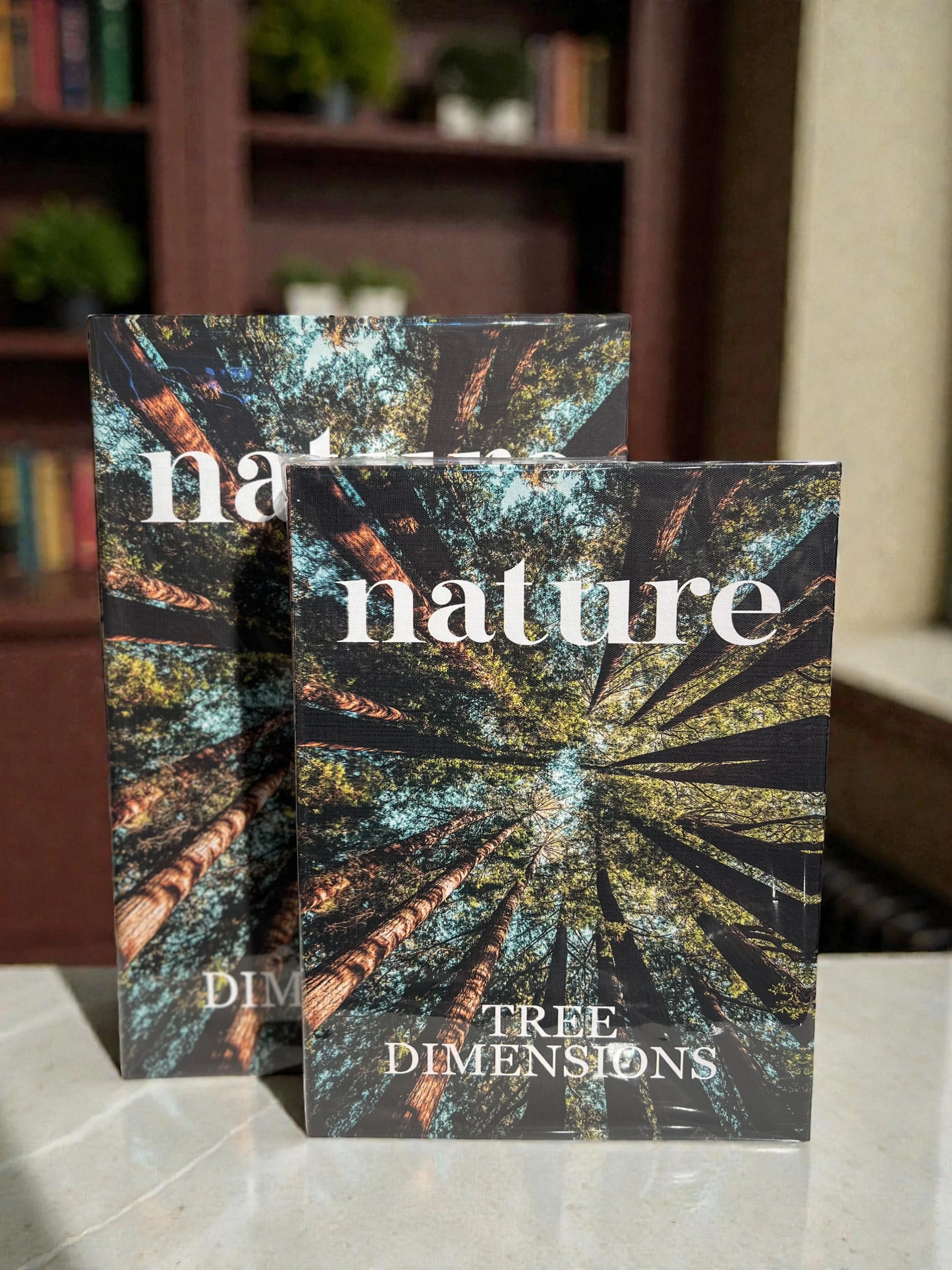 Dekoratif İkili Nature Kitap Kutu