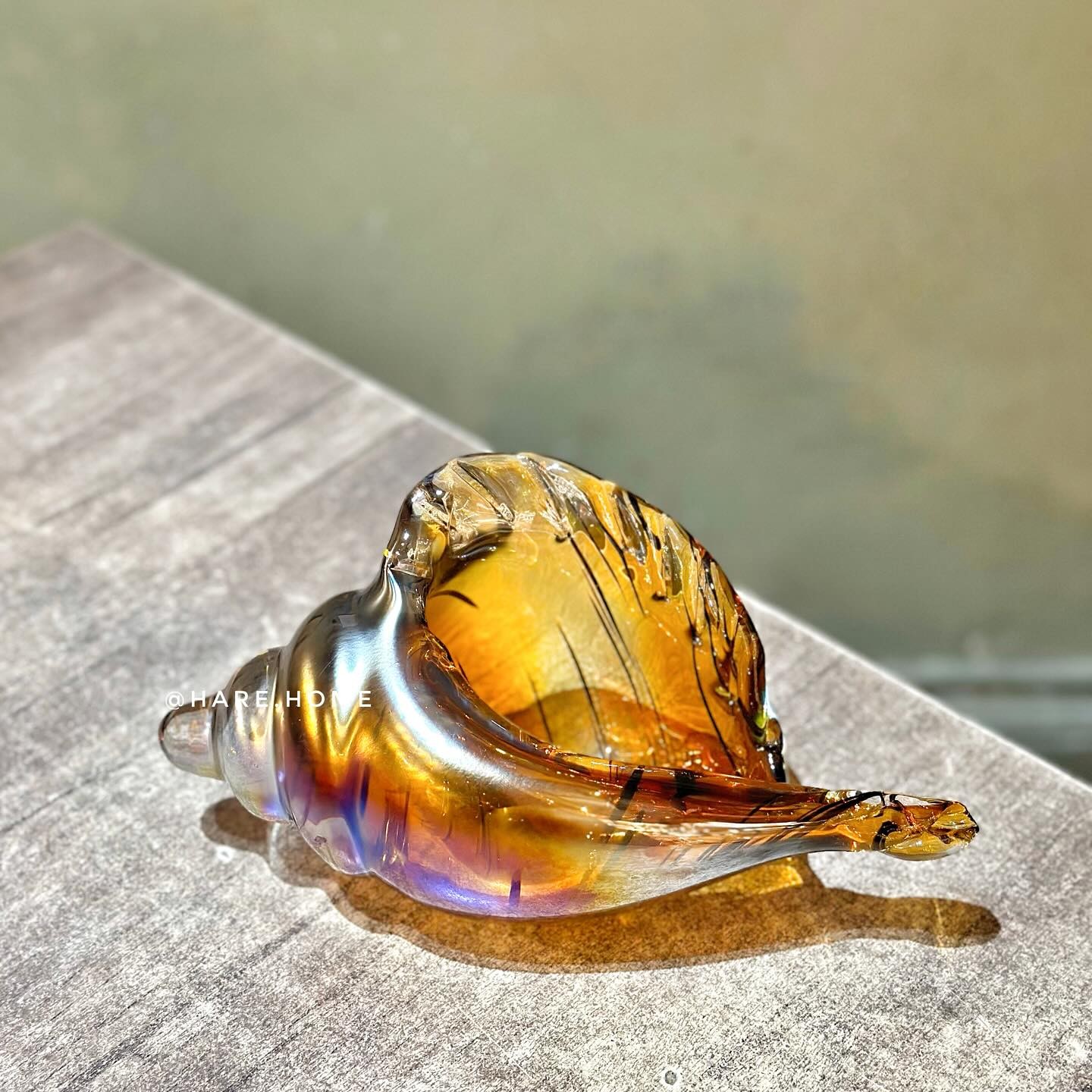 Dekoratif Cam Deniz Kabuğu Amber