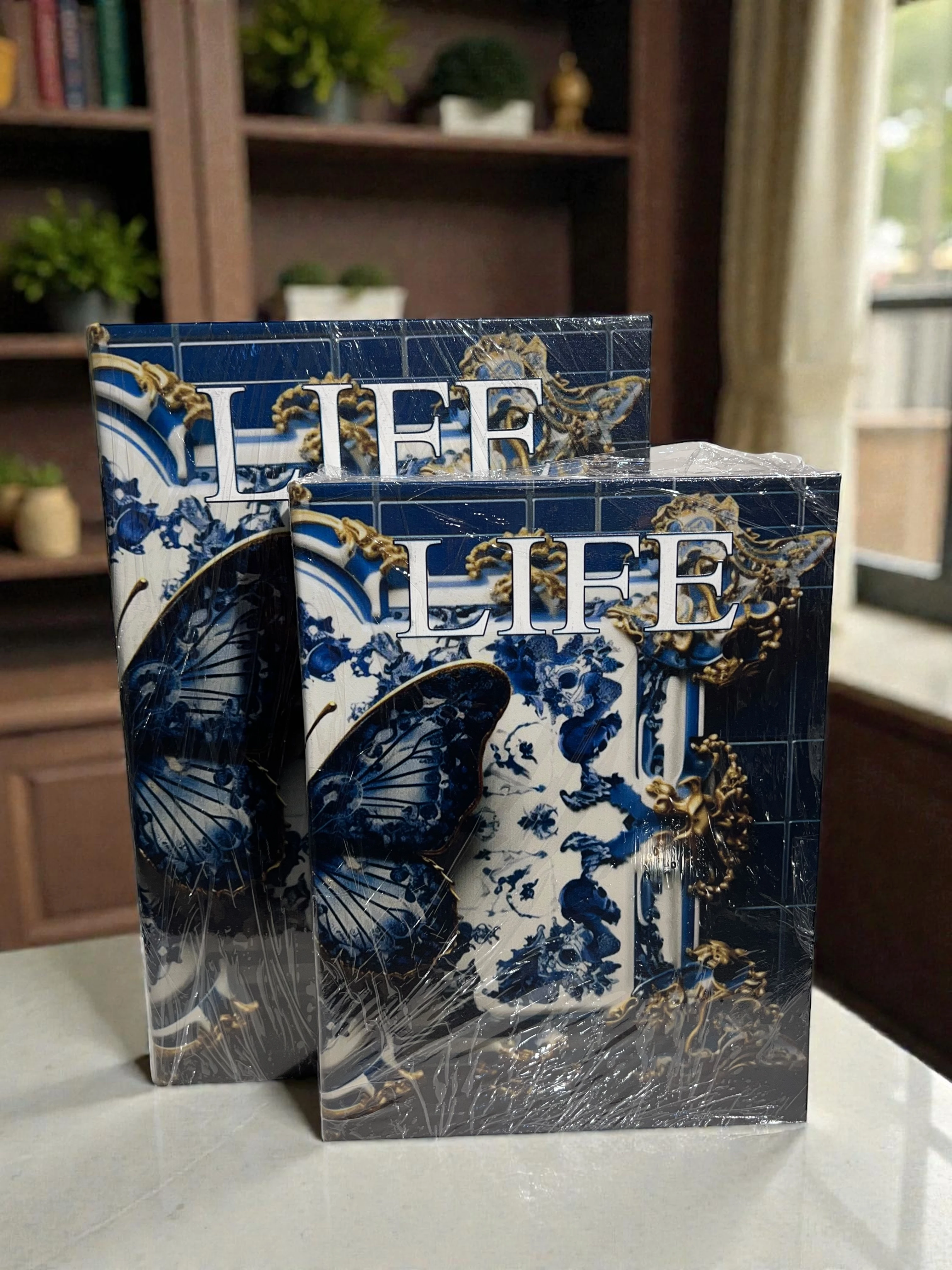 Dekoratif İkili Life Kitap Kutu