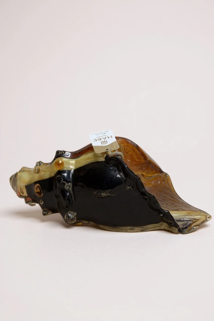 Dekoratif Cam Deniz Kabuğu Amber