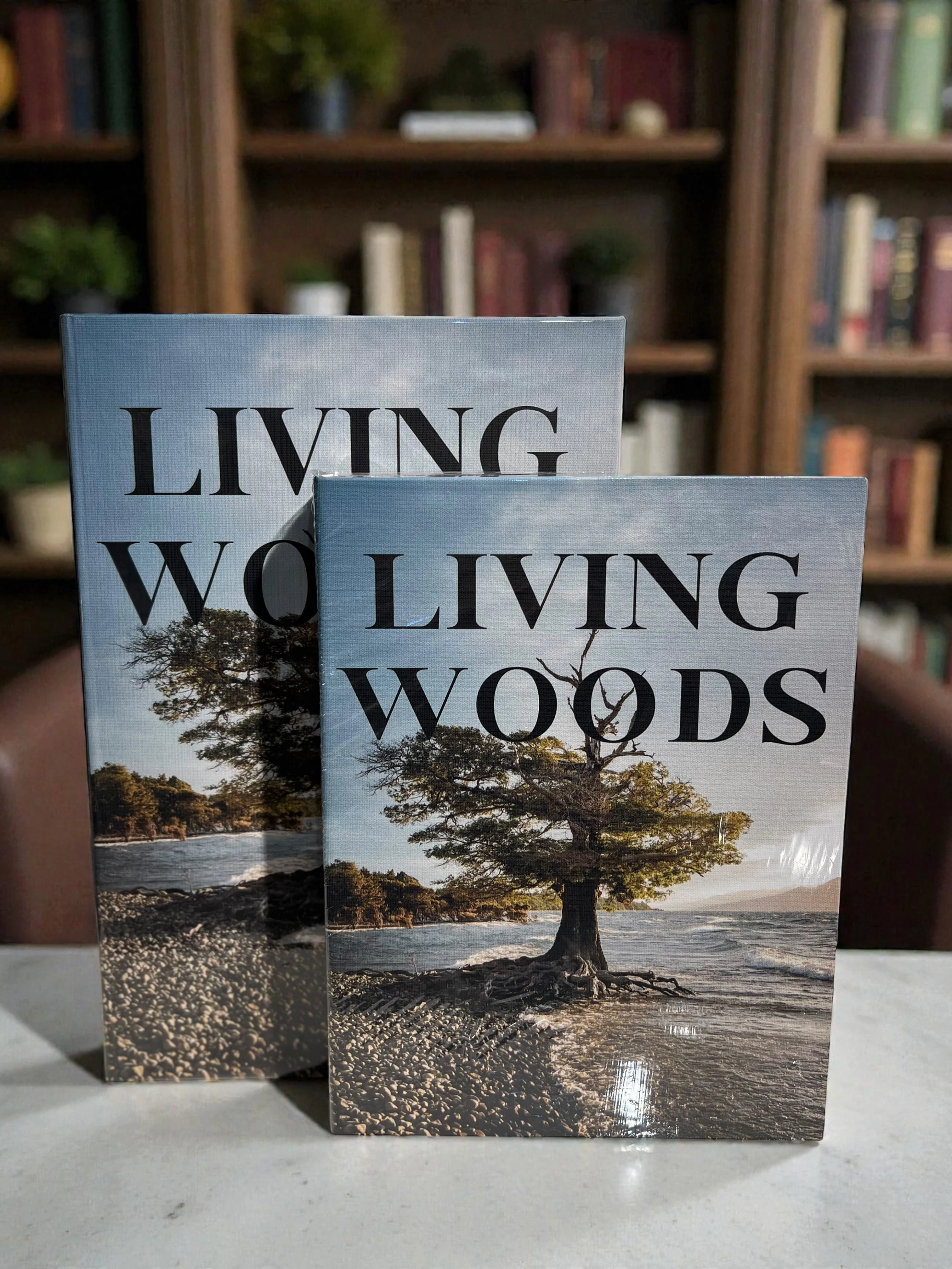 Dekoratif İkili Living Woods Kitap Kutu