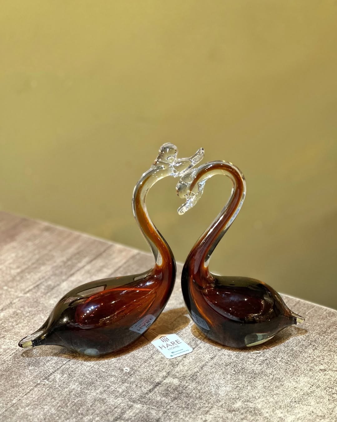 Amber Cam Aşk Kuğuları