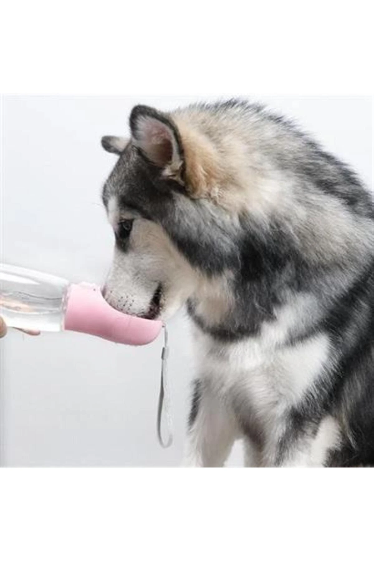 Taşınabilir Evcil Hayvan Suluğu Seyahat Kabı Kilitlenebilen Su Sızdırmaz Kap 350 ml