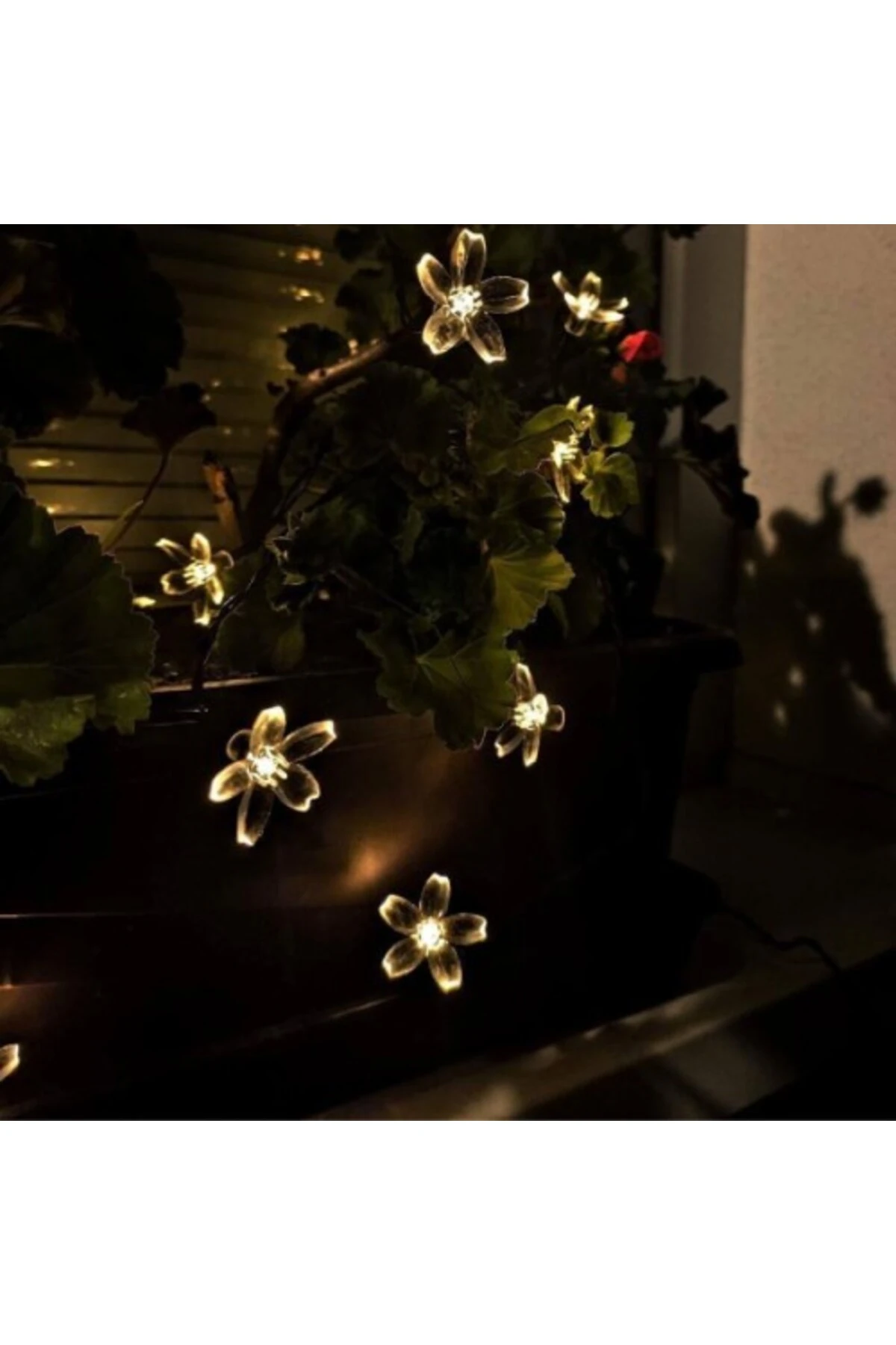 Solar 5m 50 Led Papatya Gün Işığı 8 Fonksiyonlu