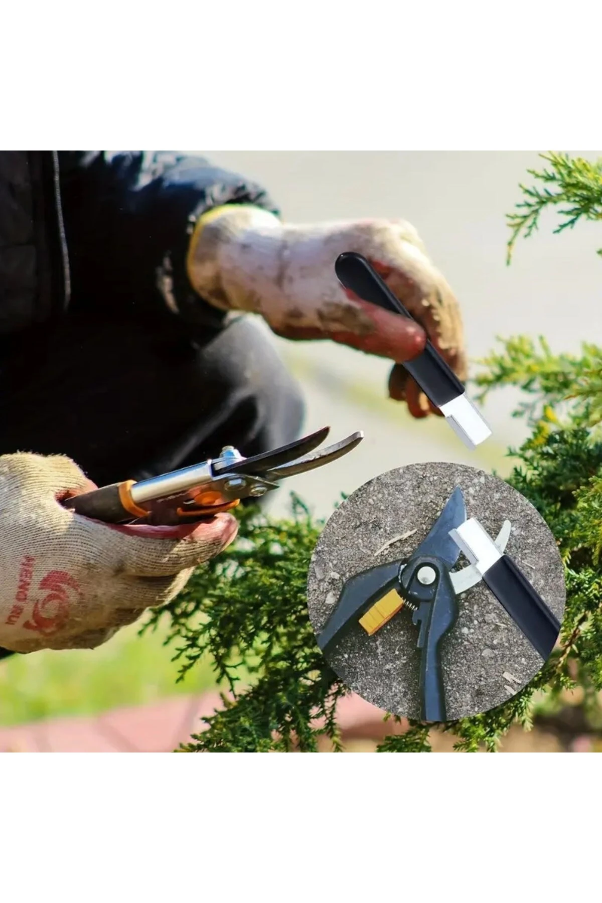 Koruyucu Kapaklı Keskin Makas Budama Makası Bıçak Bileme Aparatı Bileyici