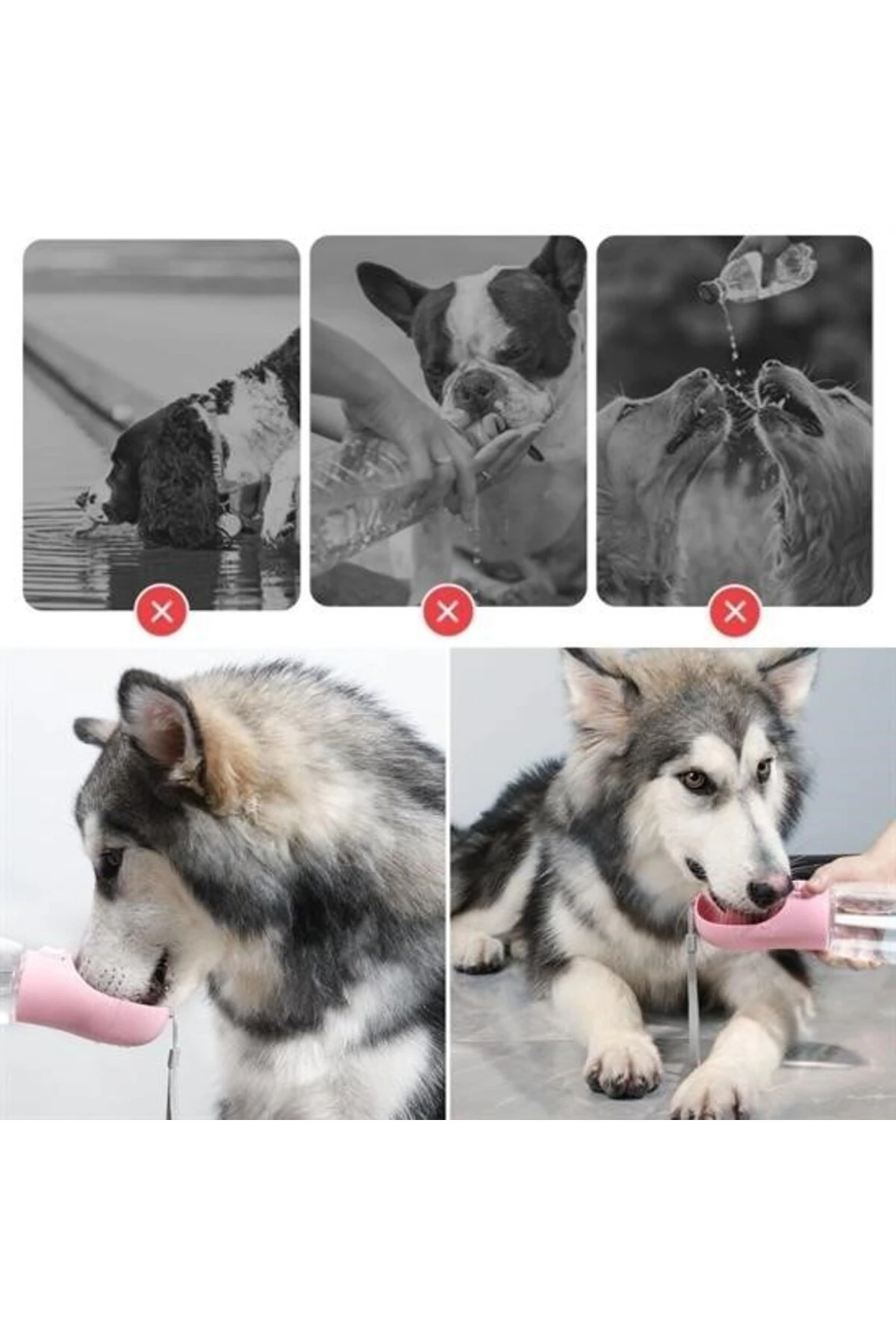 Taşınabilir Mama Hazneli Evcil Hayvan Suluğu Seyahat Kabı Kilitlenebilen Su Sızdırmaz 380ML