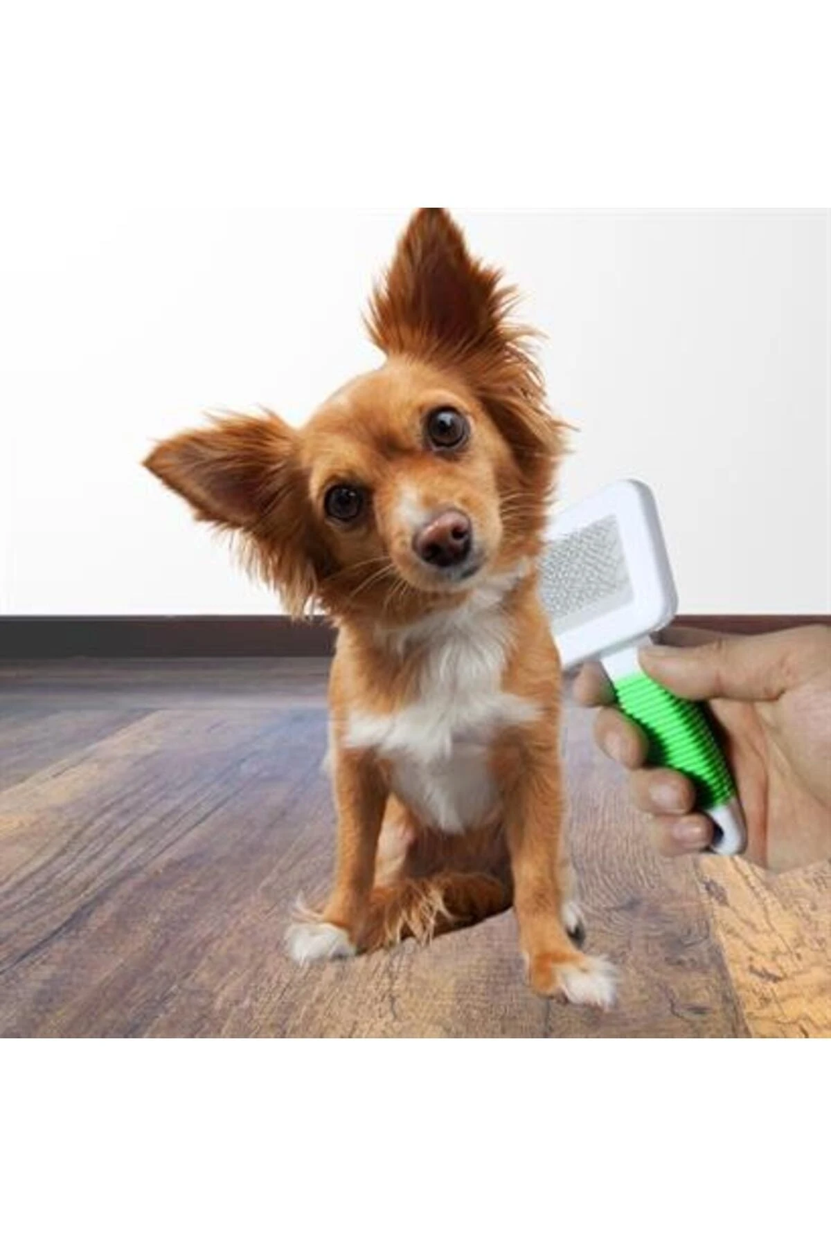 Kedi Köpek Telli Küçük Boy Tüy Bakım Seti Evcil Hayvan Tarama Fırçası