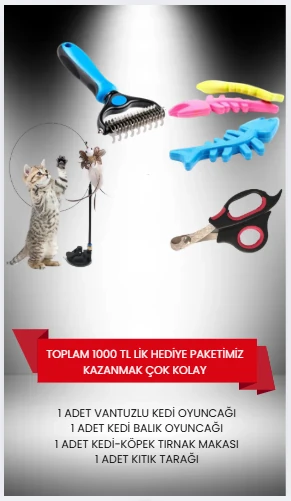 Kedi Aksesuarı Tek Paket 
