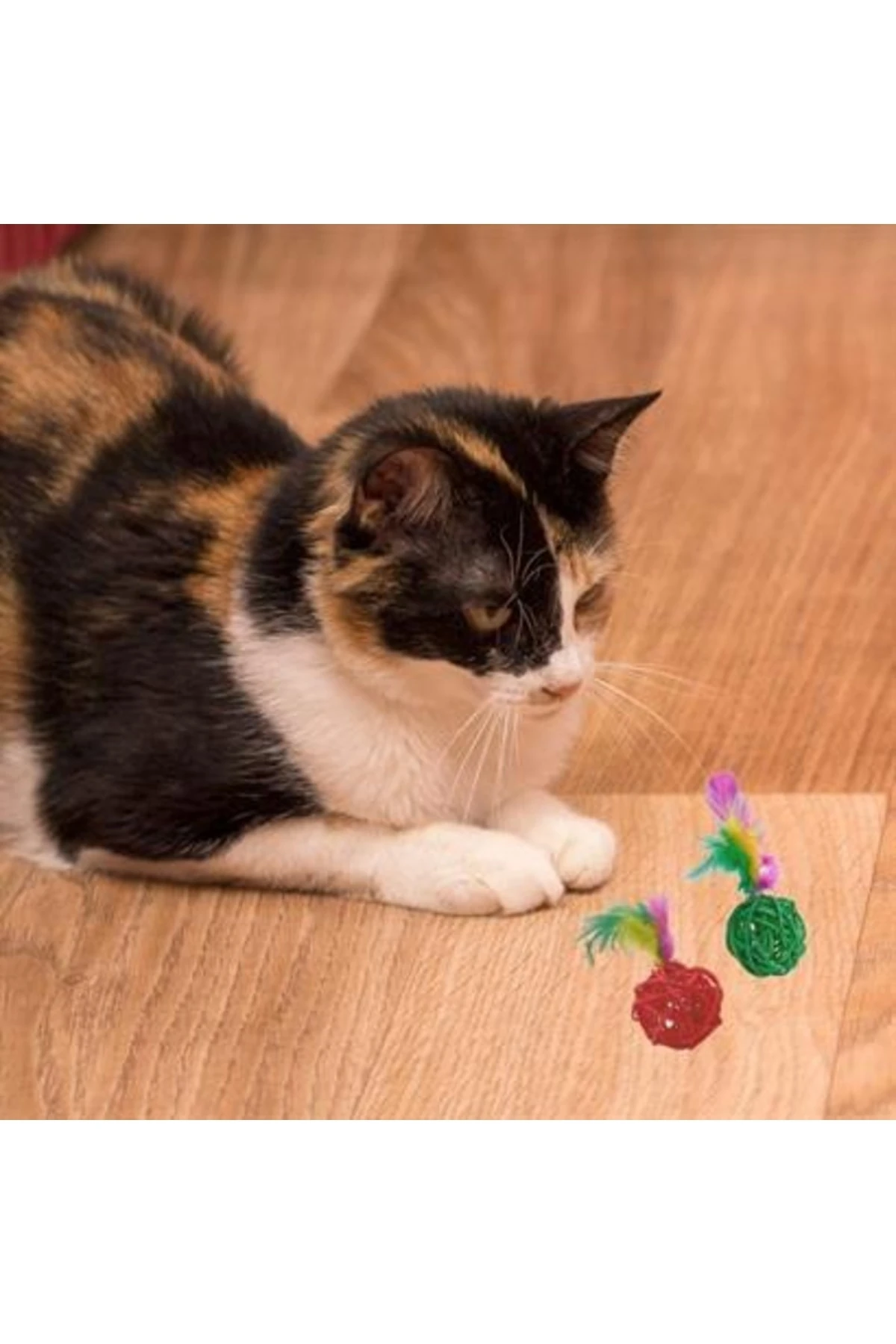 roichil® 2li Rattan Renkli Peluş Tüy Kedi Köpek Oyuncak Yakalama Çiğneme Çıngıraklı Top Oyuncağı