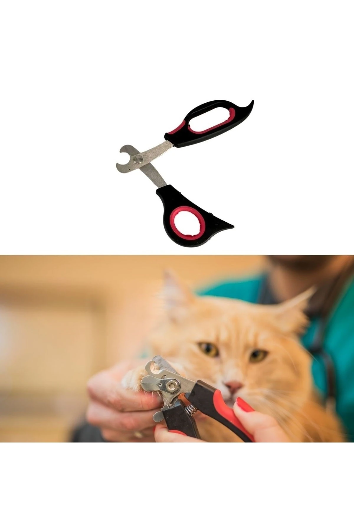 Büyük Irk Köpek Kedi Çelik Uçlu Evcil Hayvan Tırnak Makası Pati Bakım Aleti Ergonomik Kaymaz