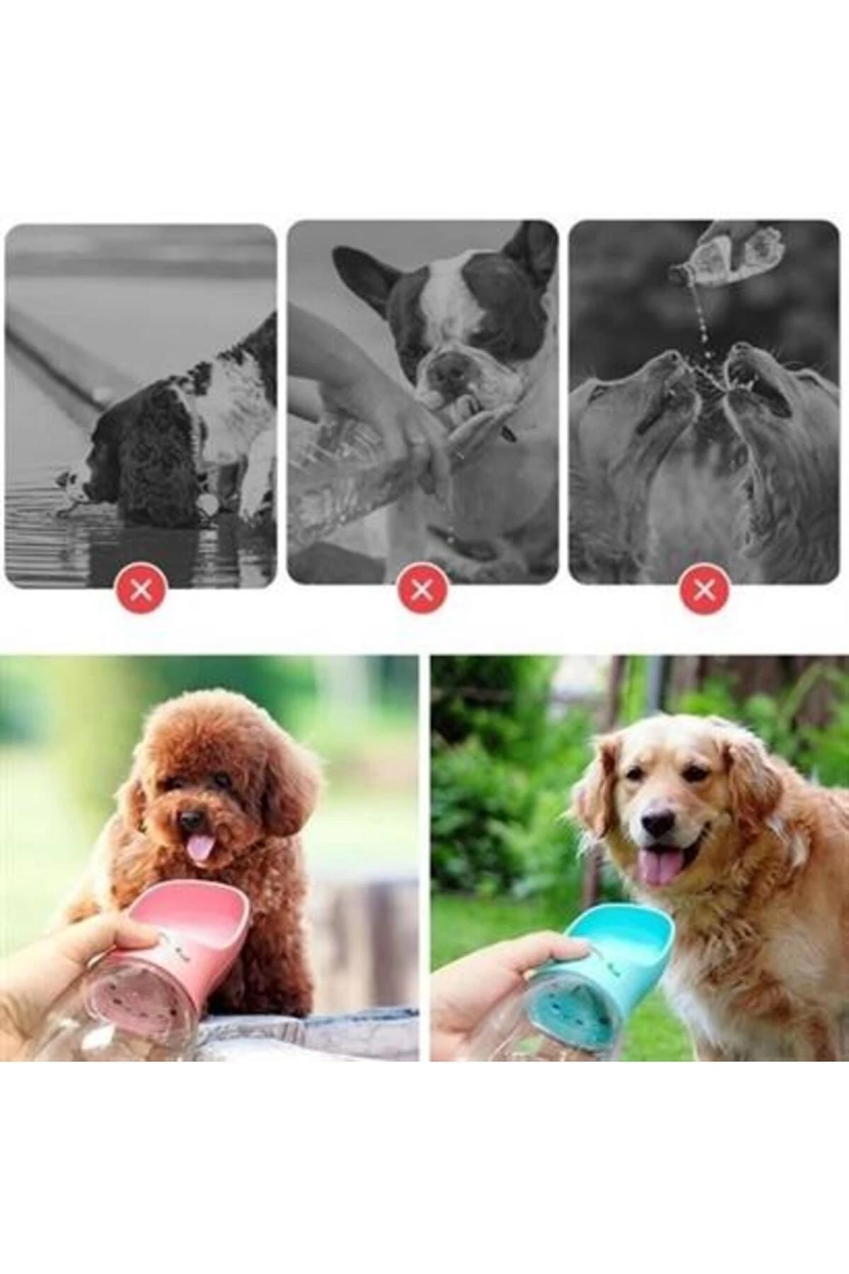 Taşınabilir Evcil Hayvan Suluğu Seyahat Kabı Kilitlenebilen Su Sızdırmaz Kap 350 ml