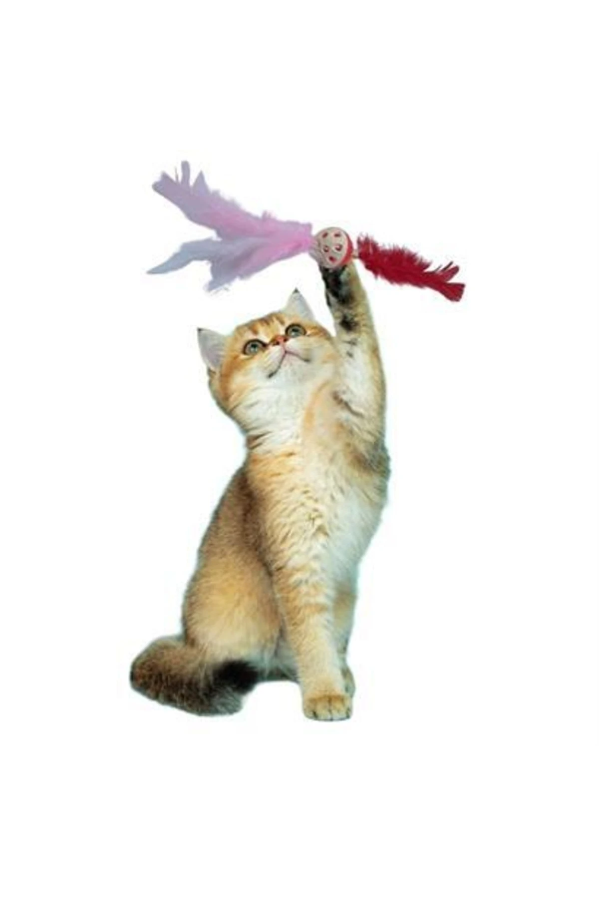 roichil® tüylü Püsküllü kedi Oyuncağı dikkat Çekici Renkli Sevimli Evcil Hayvan Oyuncağı