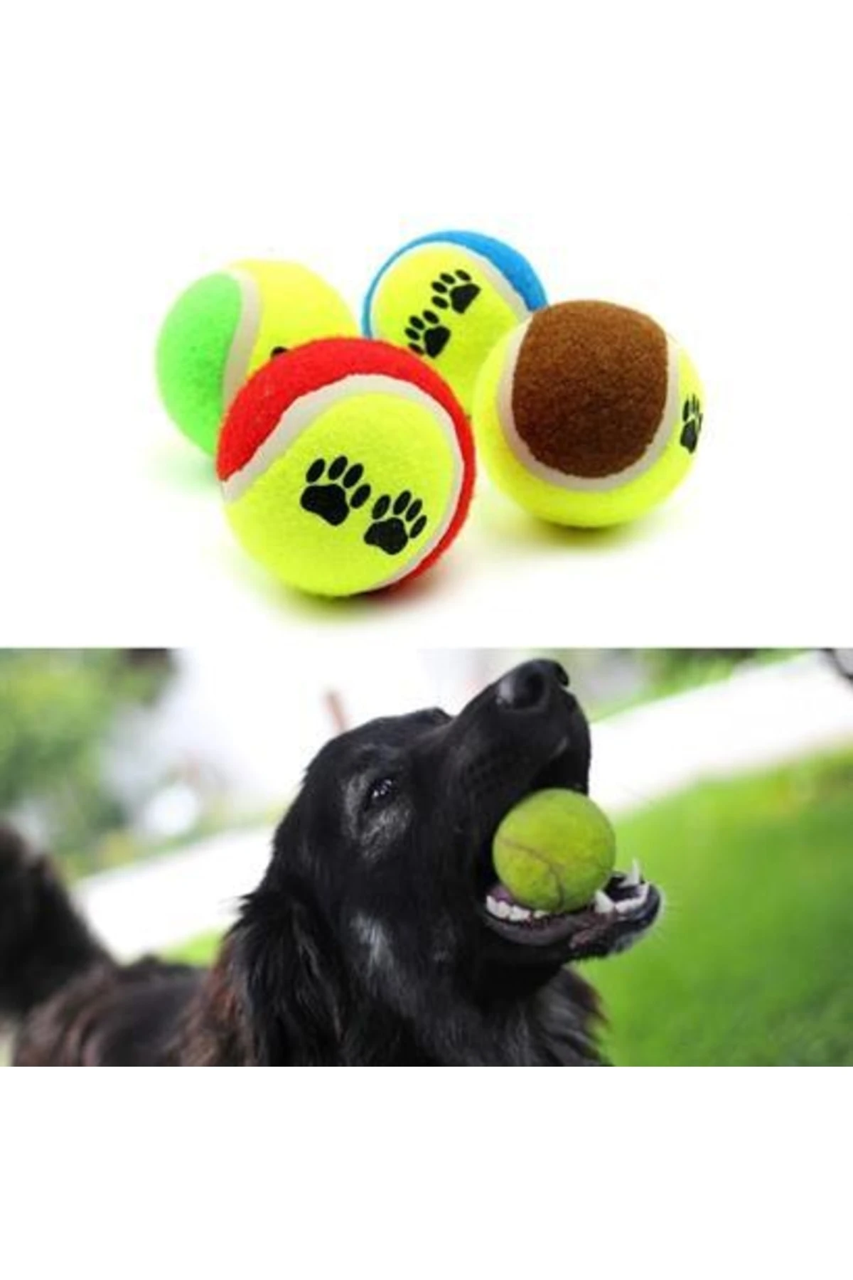 3lü Renkli Desenli Tenis Topu Kedi Köpek Oyuncağı