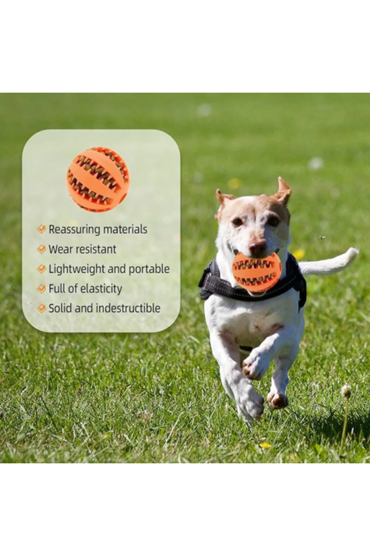 Mama Hazneli Köpek Eğitim Ve Oyun Topu