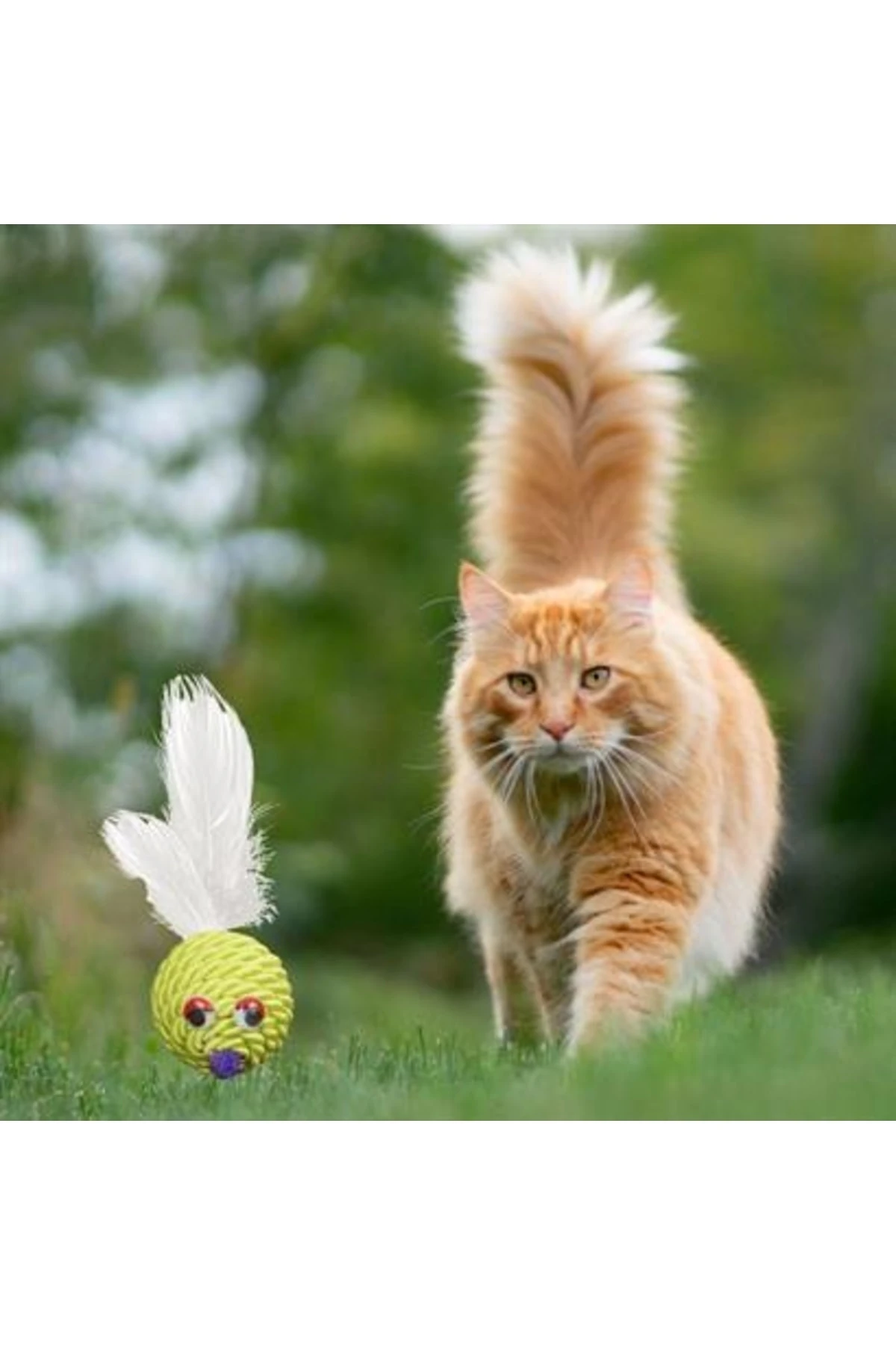 roichil® Renkli Hasır Tüylü Oyun Topu (catnipli) Ilgi Çekici Eğlenceli Eğitici Evcil Hayvan Oyun