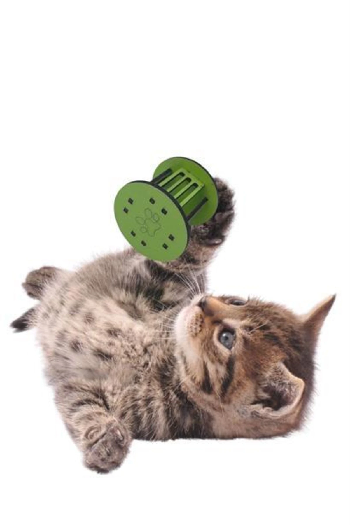 roichil® Mini Silindir Eğlenceli Renkli Sağlam Küçük Pati Izi Şekilli Kedi Oyuncağı