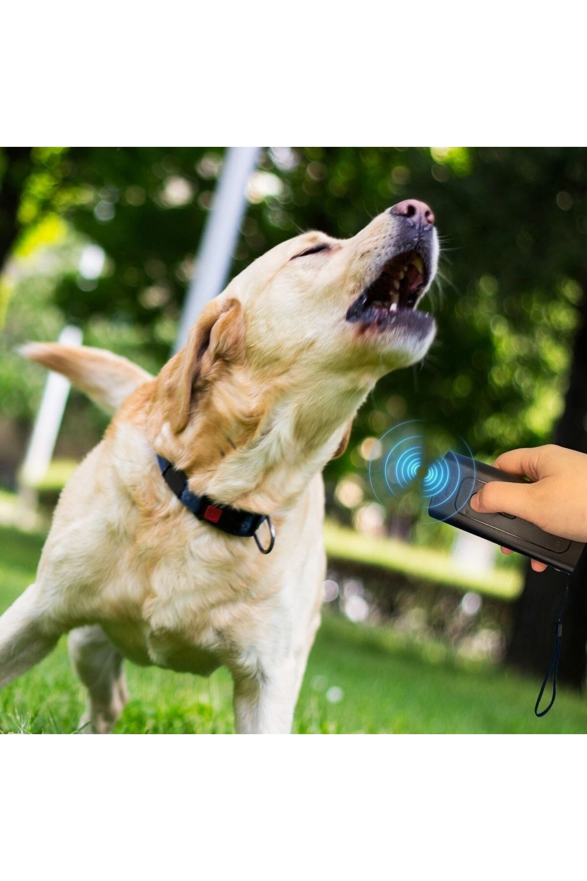 Ultrasonik Köpek Eğitici Cihaz