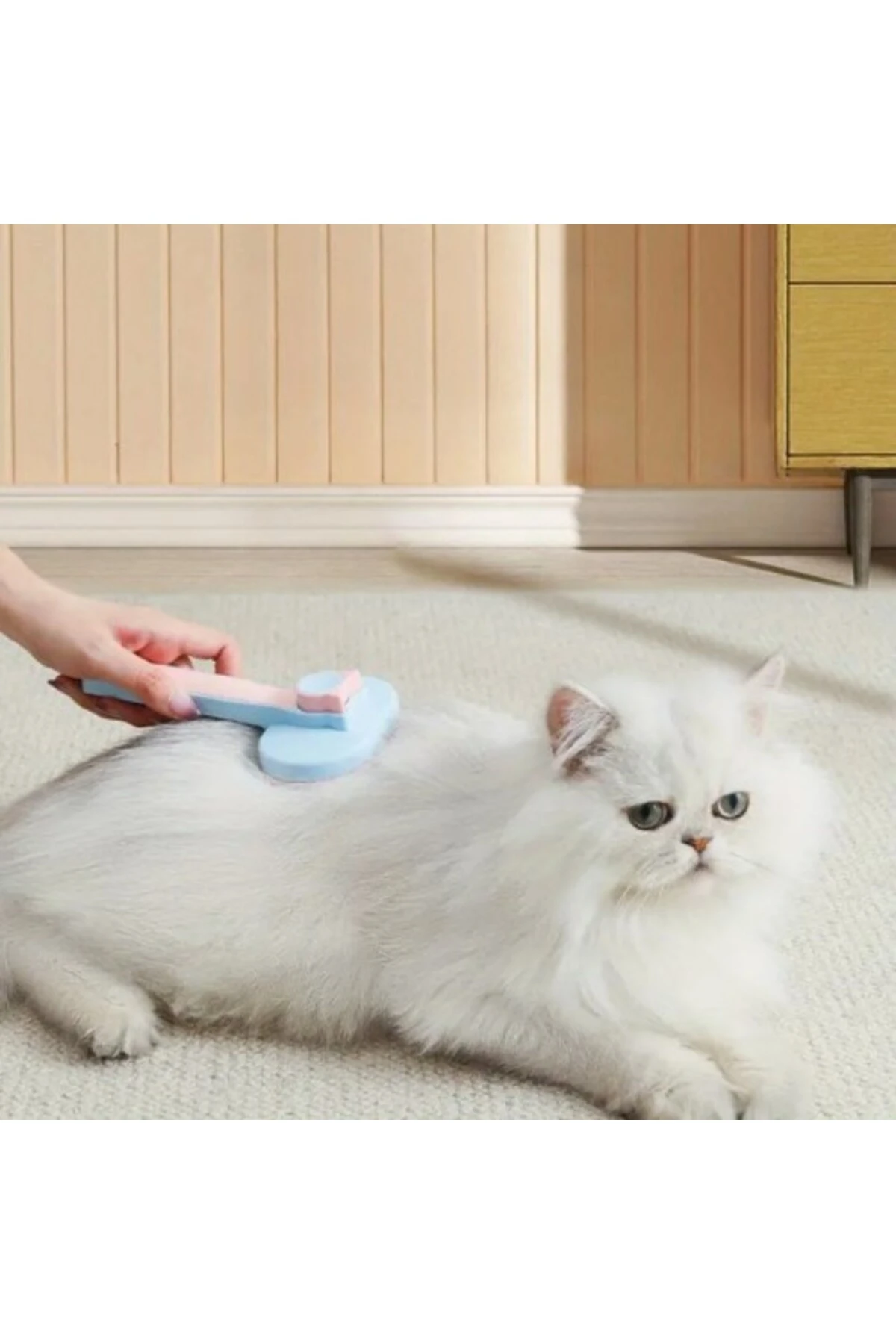 Kedi ve Köpekler İçin Kendini Temizleyen Tüy Fırçası