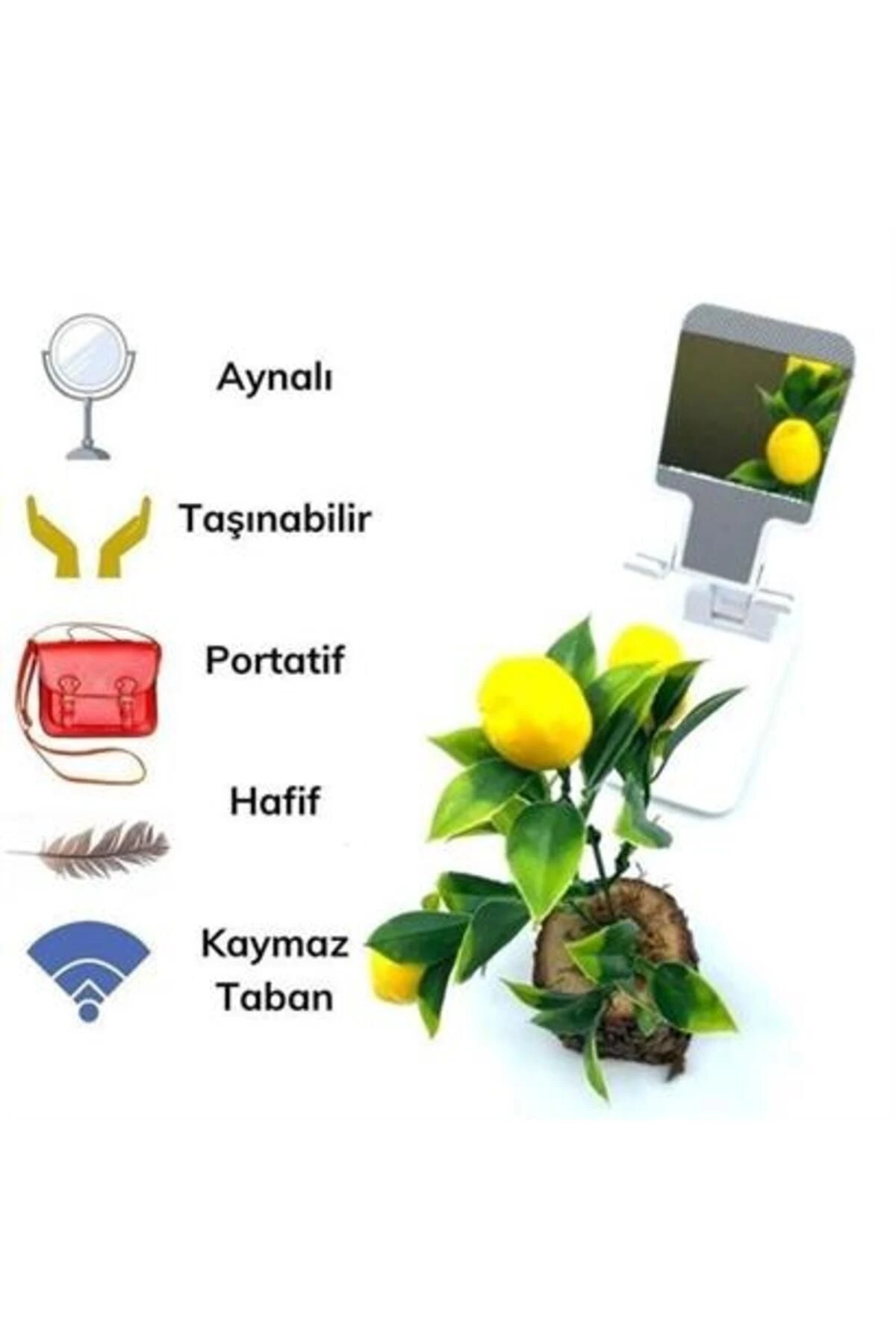 roichil® Siyah Aynalı Cep Telefonu Sabitleyici Stand Katlanabilir Ayarlanabilir Telefon Standı