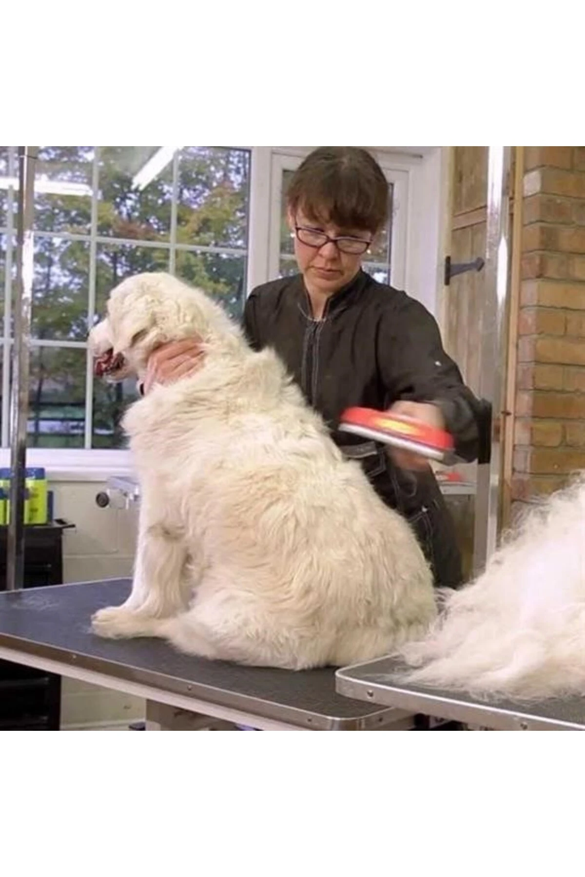 ® Uzun Tüylü Köpekler İçin Kolay Tarama Fırçası Temizlenebilir Çelik Tarak Tüy Toplayıcı Mediu