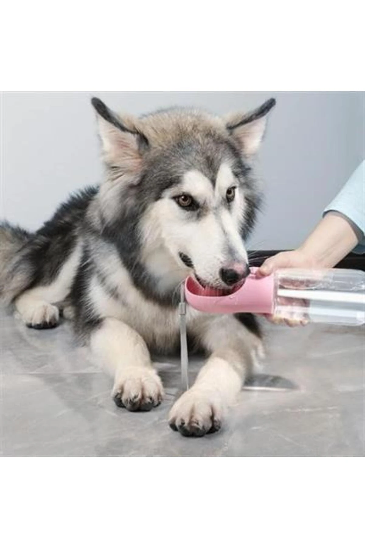 Taşınabilir Evcil Hayvan Suluğu Seyahat Kabı Kilitlenebilen Su Sızdırmaz Kap 350 ml