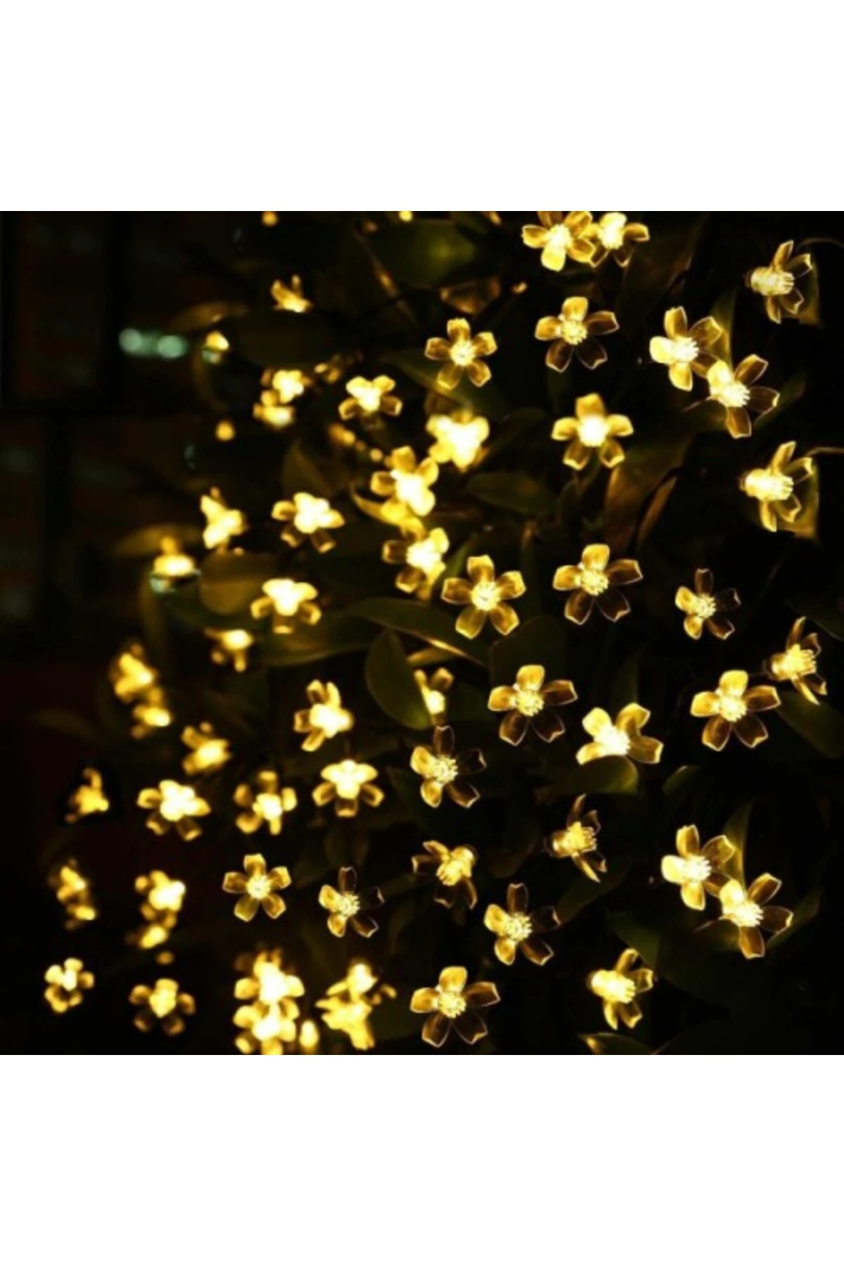 Solar 5m 50 Led Papatya Gün Işığı 8 Fonksiyonlu