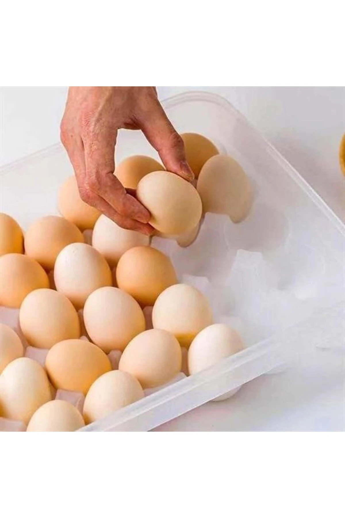 ® 30lu Yumurta Saklama Kabı